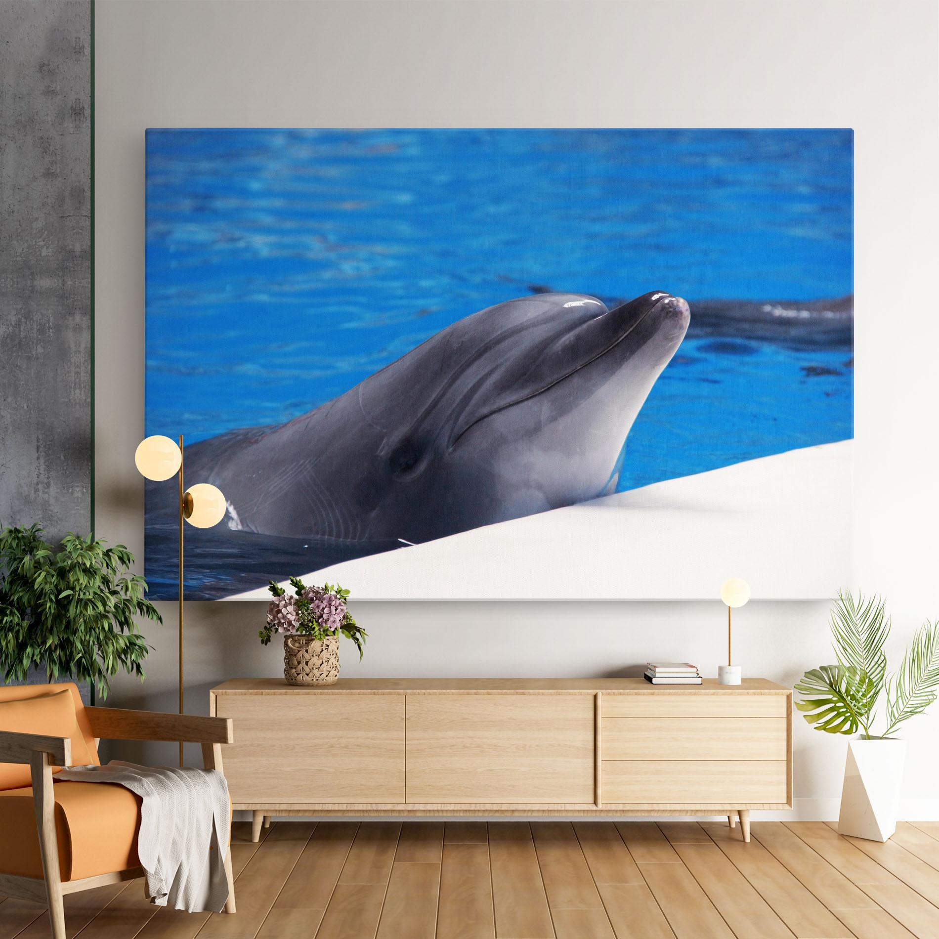 Obraz na Płótnie Cute Dolphin mockup 9