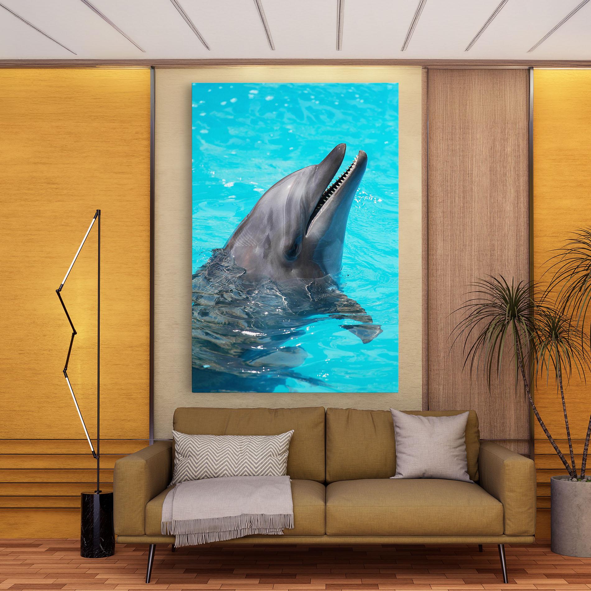 Obraz na Płótnie Trained Dolphin mockup 9