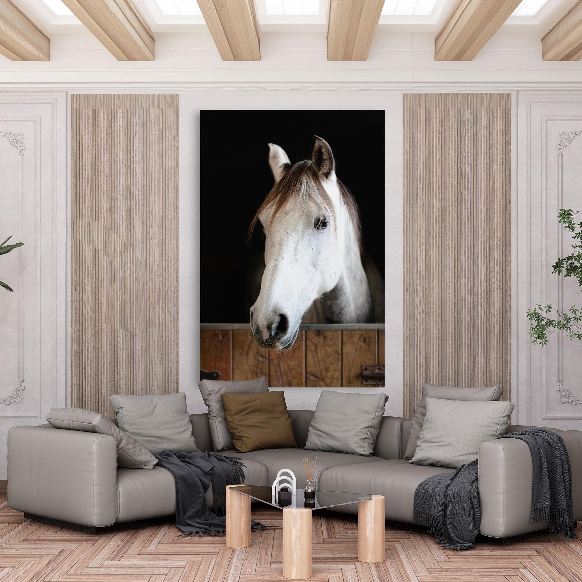 Obraz na Płótnie Grey Horse Head mockup 6
