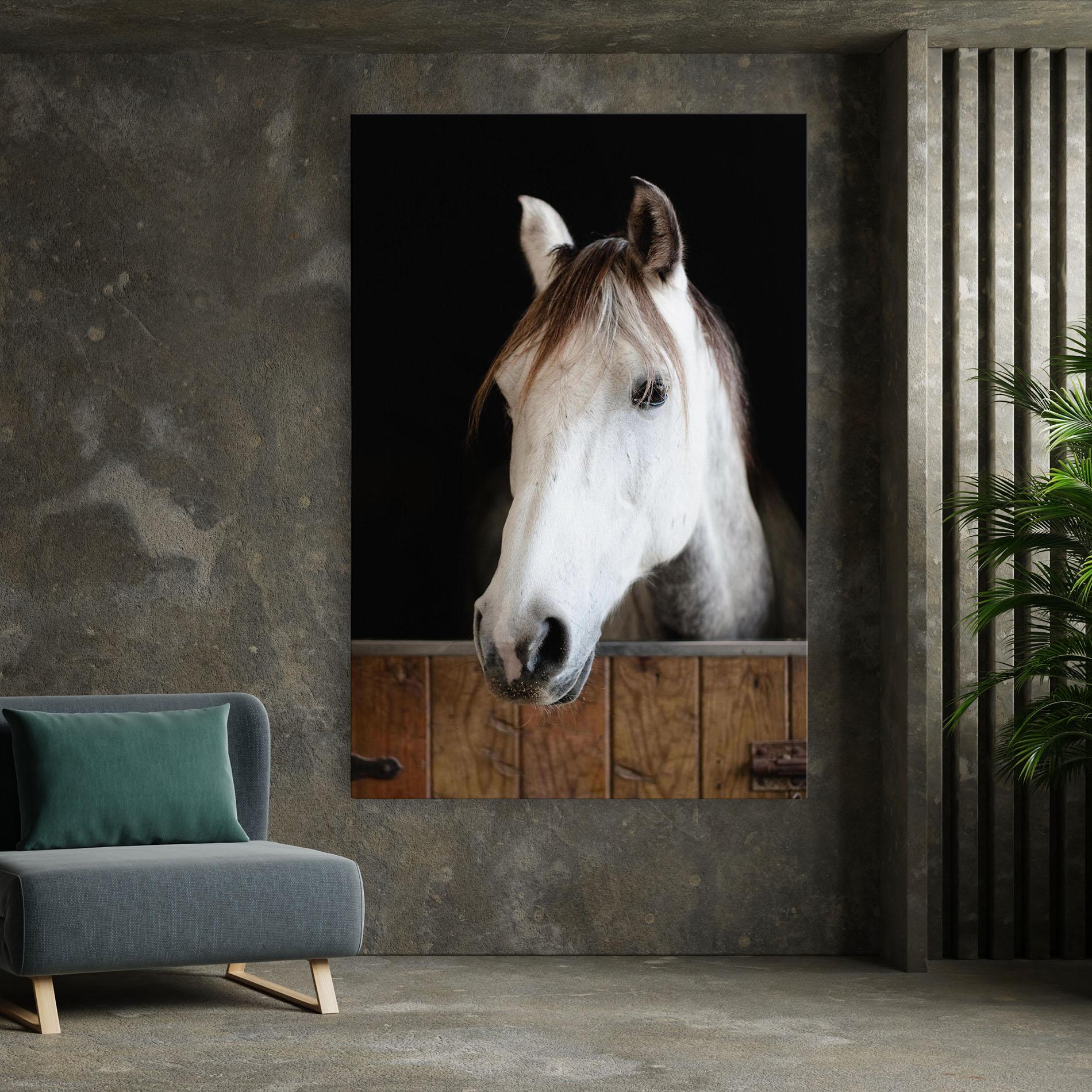 Obraz na Płótnie Grey Horse Head mockup 7