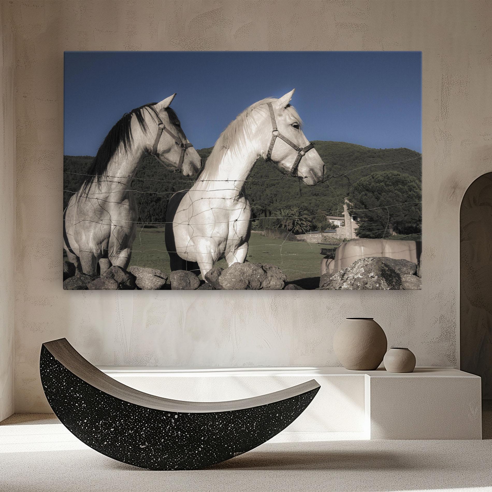 Obraz na Płótnie White Grey Horse mockup 8