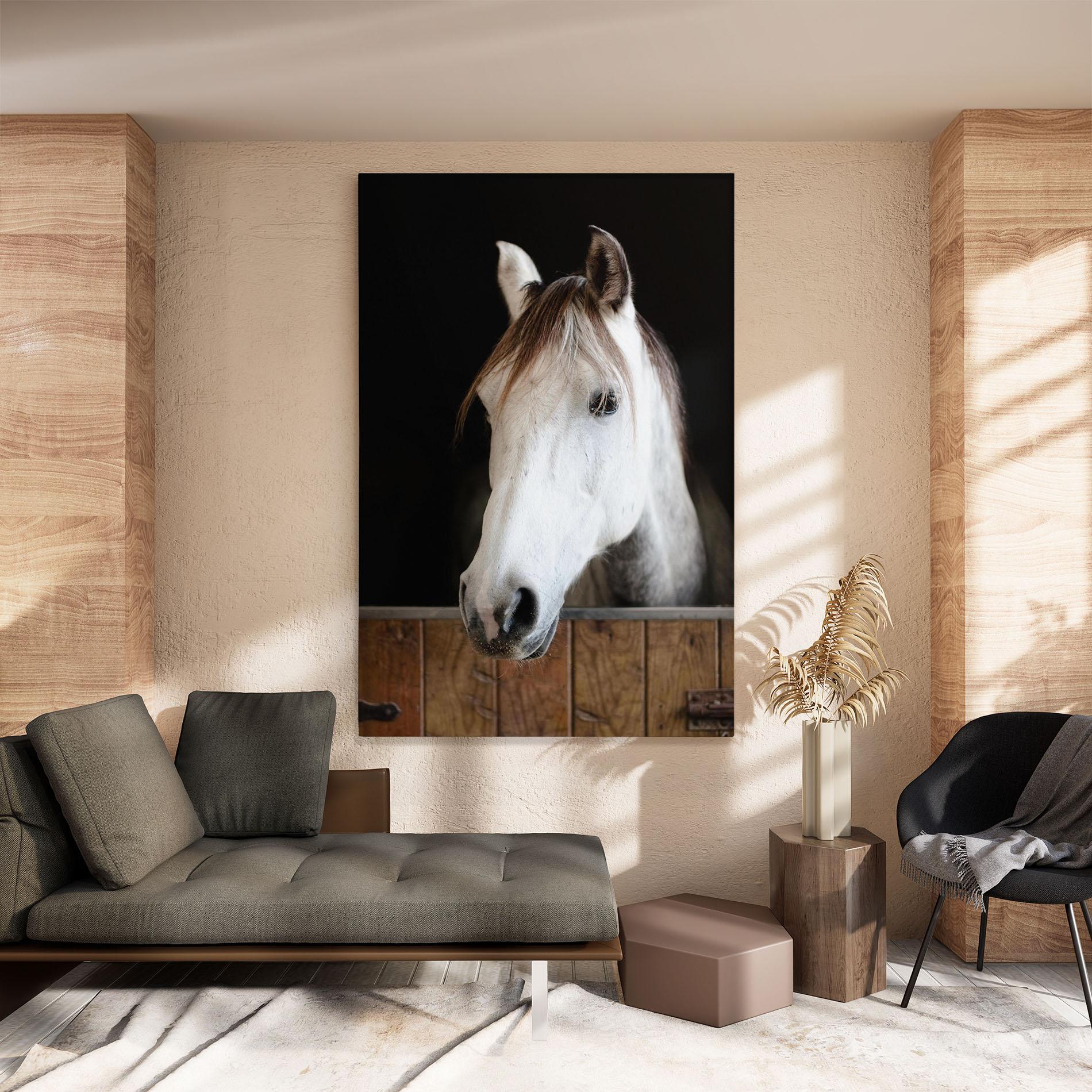 Obraz na Płótnie Grey Horse Head mockup 8