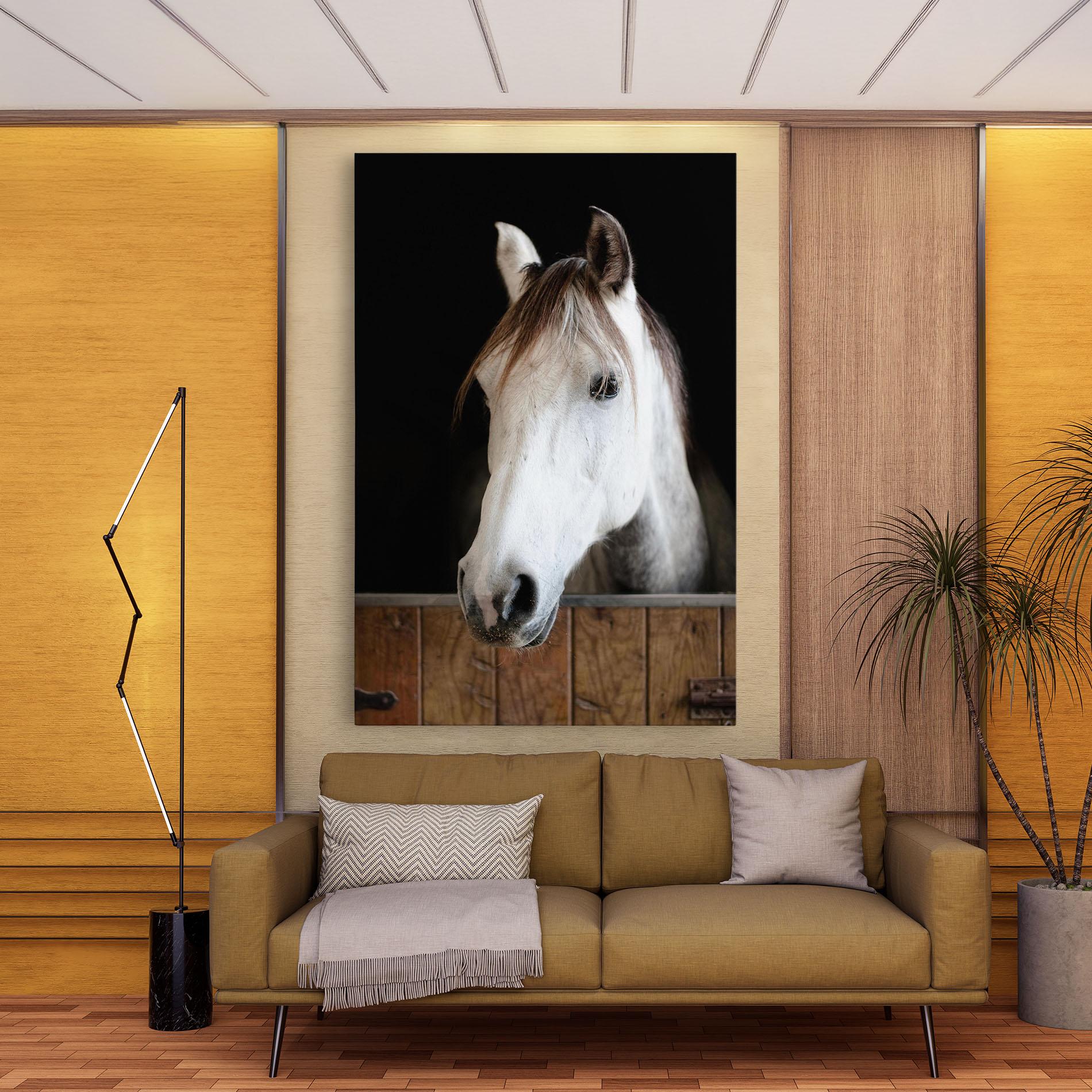 Obraz na Płótnie Grey Horse Head mockup 9