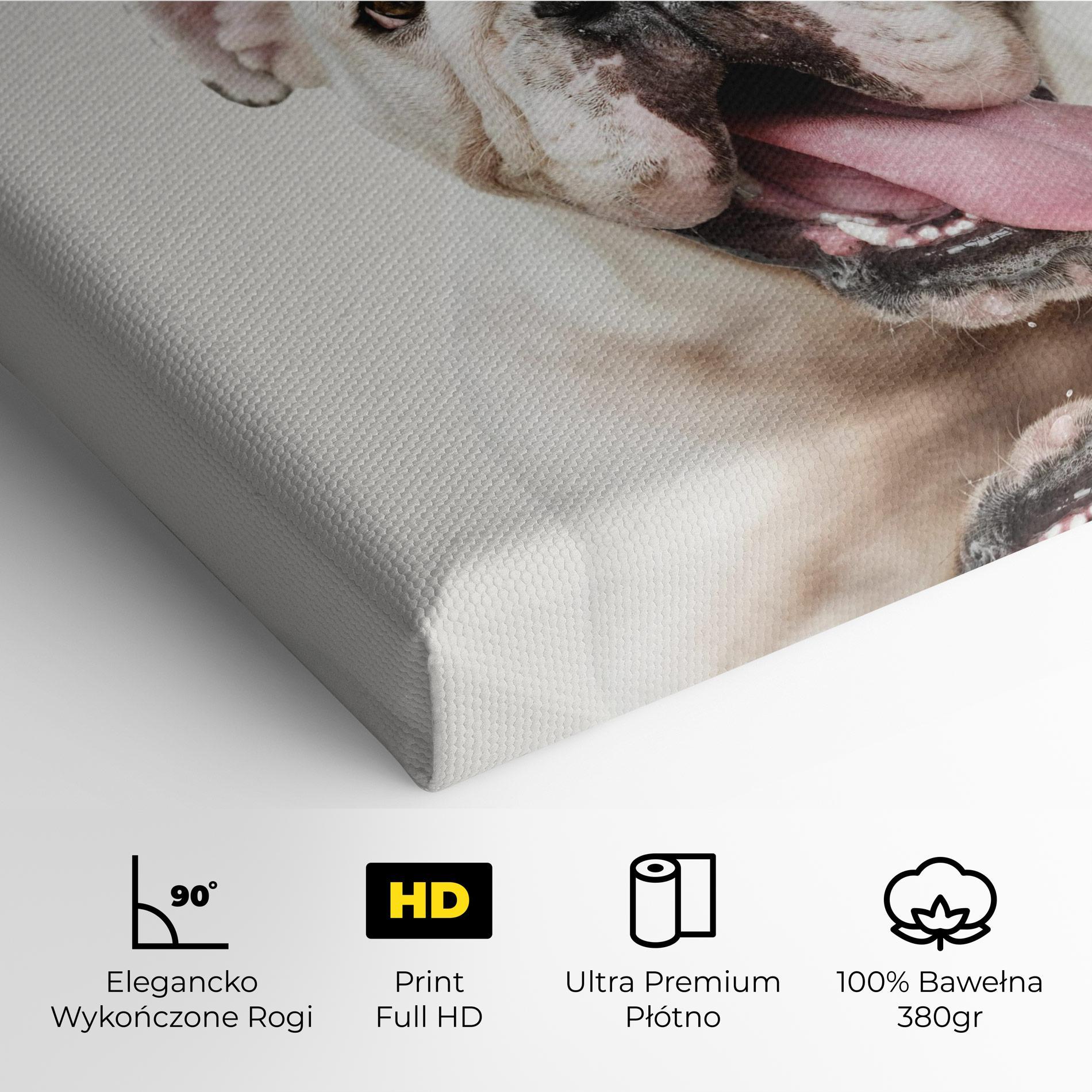 Obraz na Płótnie Bulldog Wearing Crown mockup 4