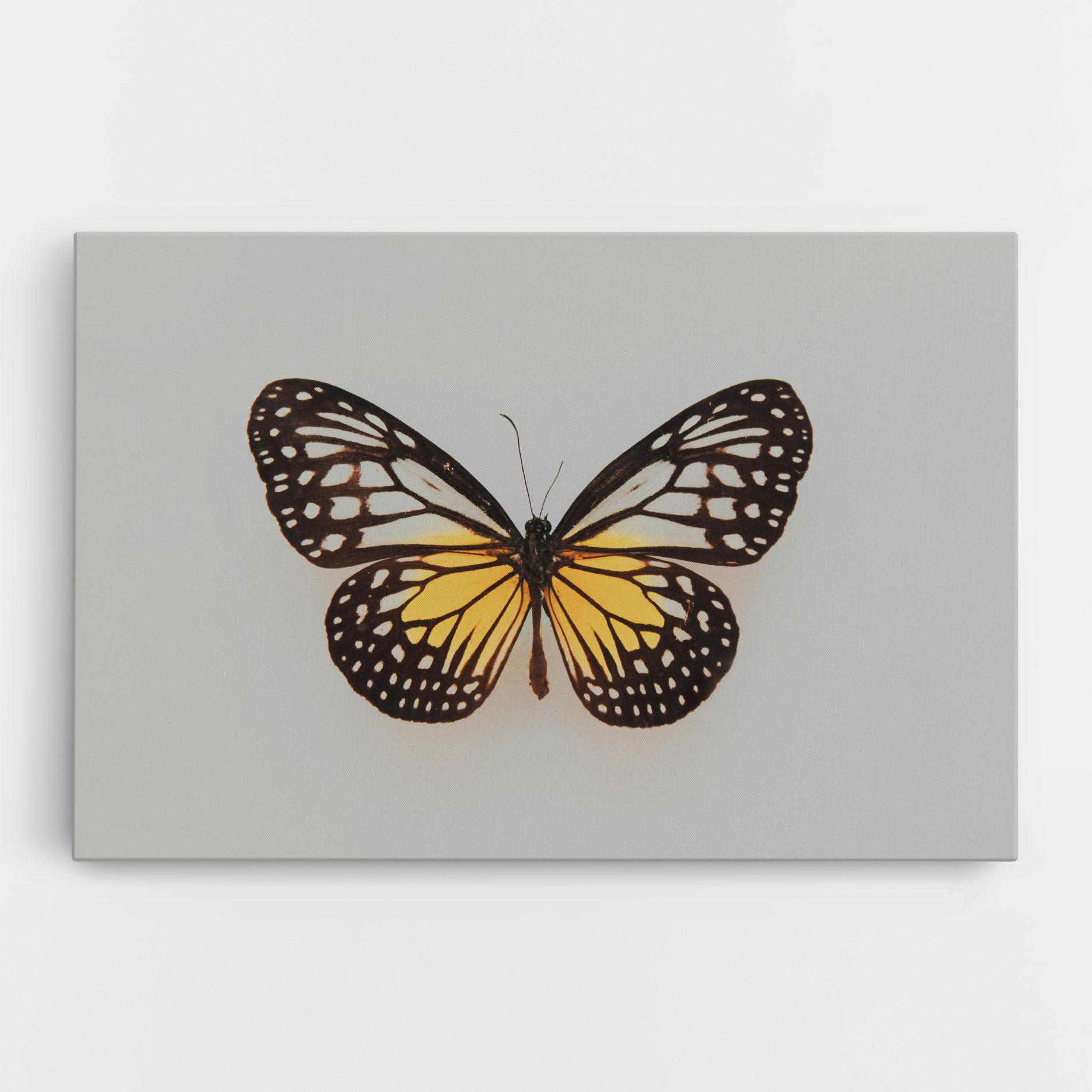 Obraz na Płótnie Butterfly On Grey mockup 0