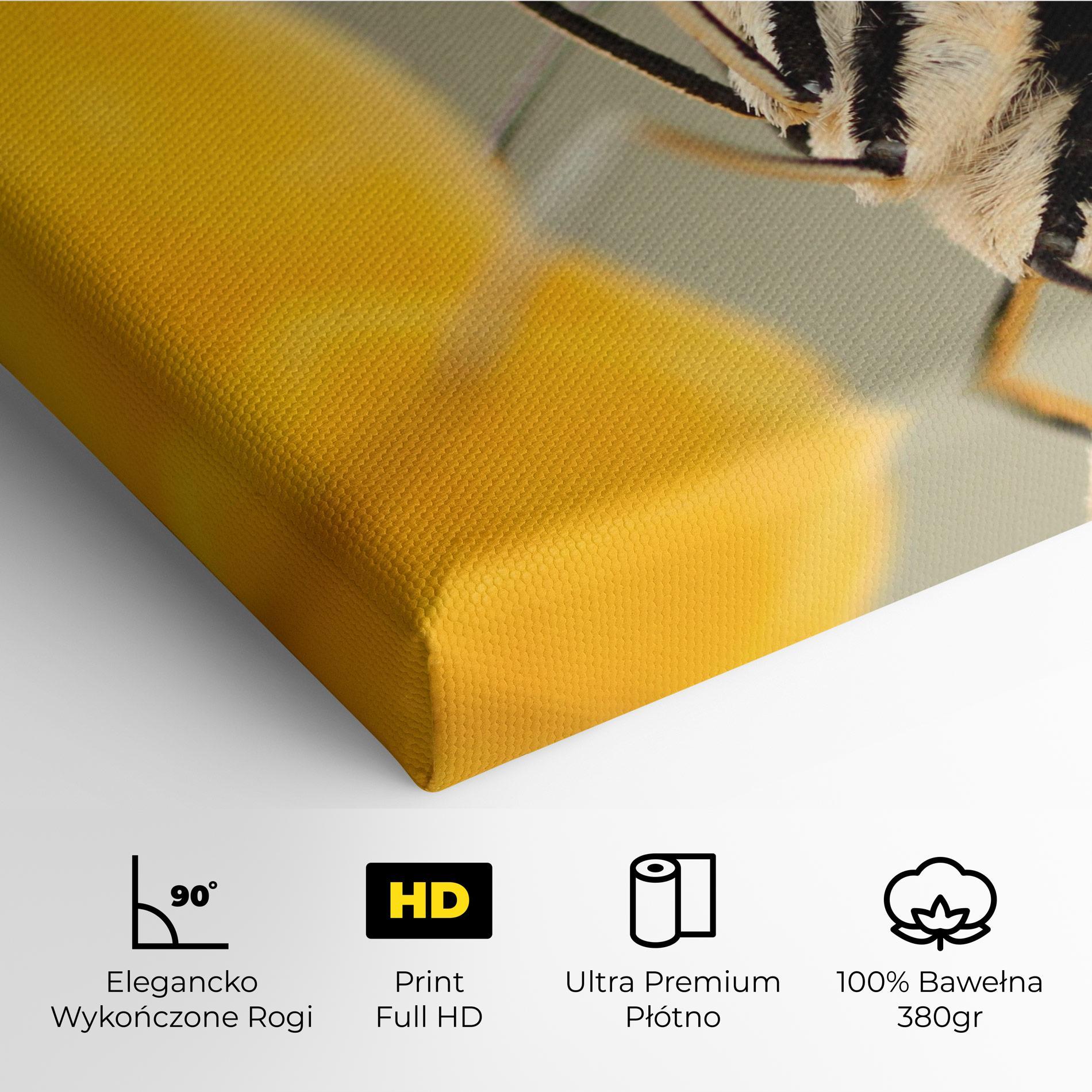 Obraz na Płótnie Close Up Cream Butterfly mockup 4