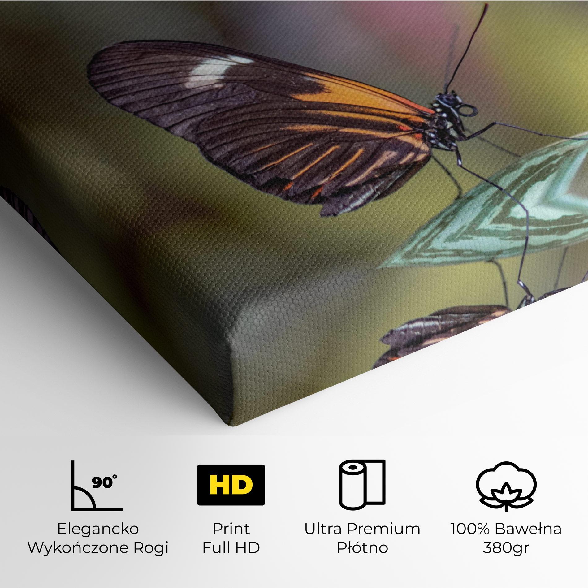 Obraz na Płótnie Dark Purple Butterfly mockup 4