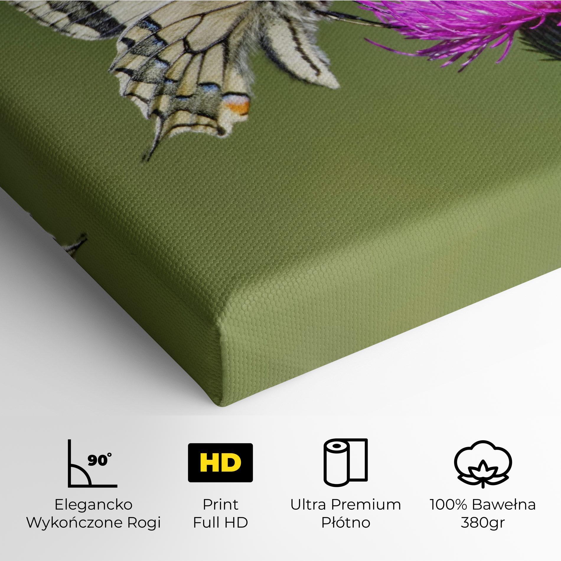 Obraz na Płótnie White Butterfly Pollen mockup 4