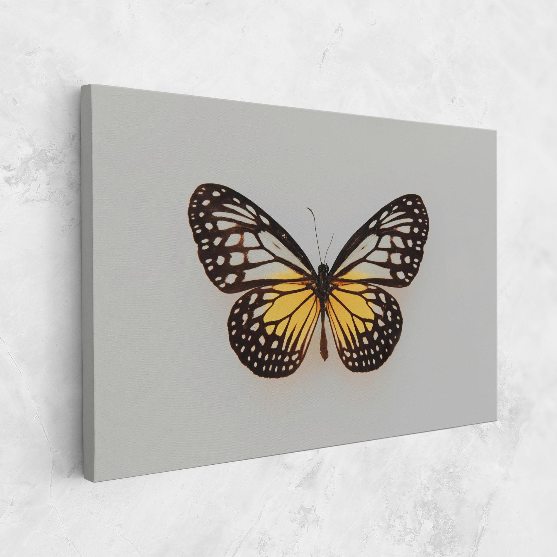 Obraz na Płótnie Butterfly On Grey mockup 1