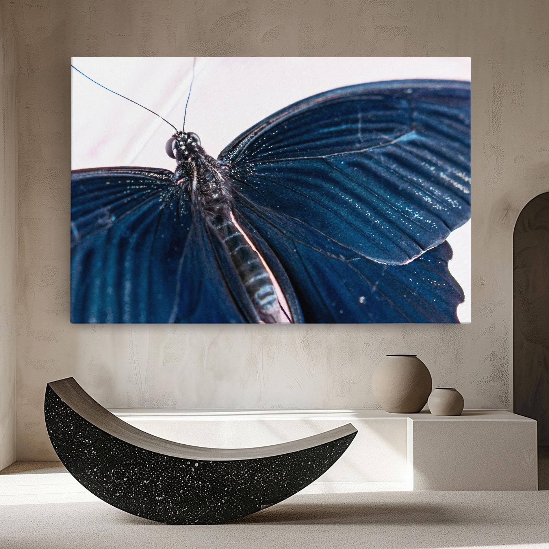 Obraz na Płótnie Blue Butterfly mockup 8