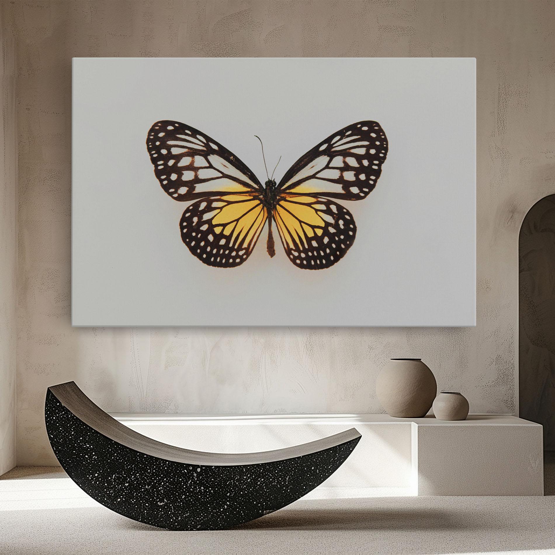 Obraz na Płótnie Butterfly On Grey mockup 8