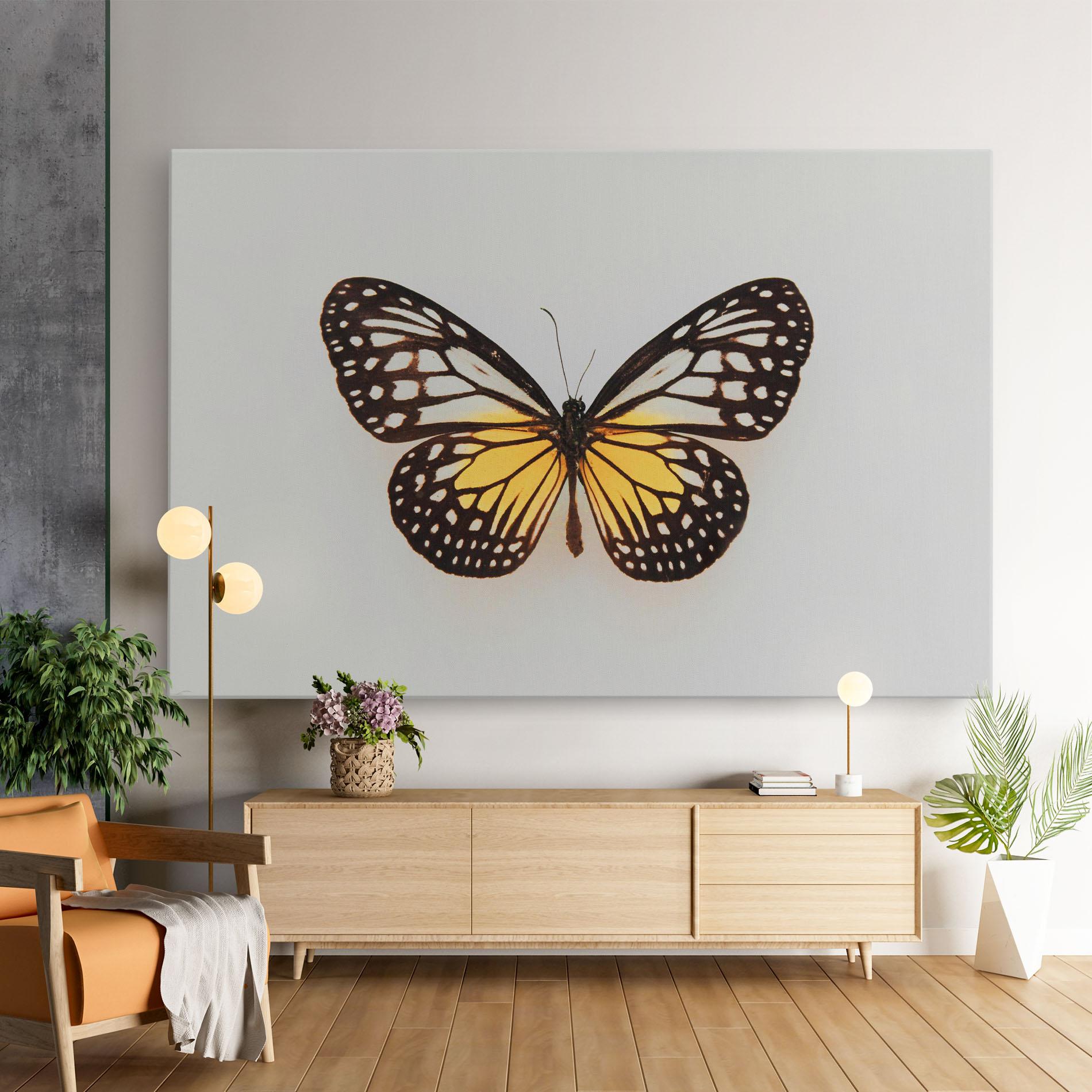 Obraz na Płótnie Butterfly On Grey mockup 9