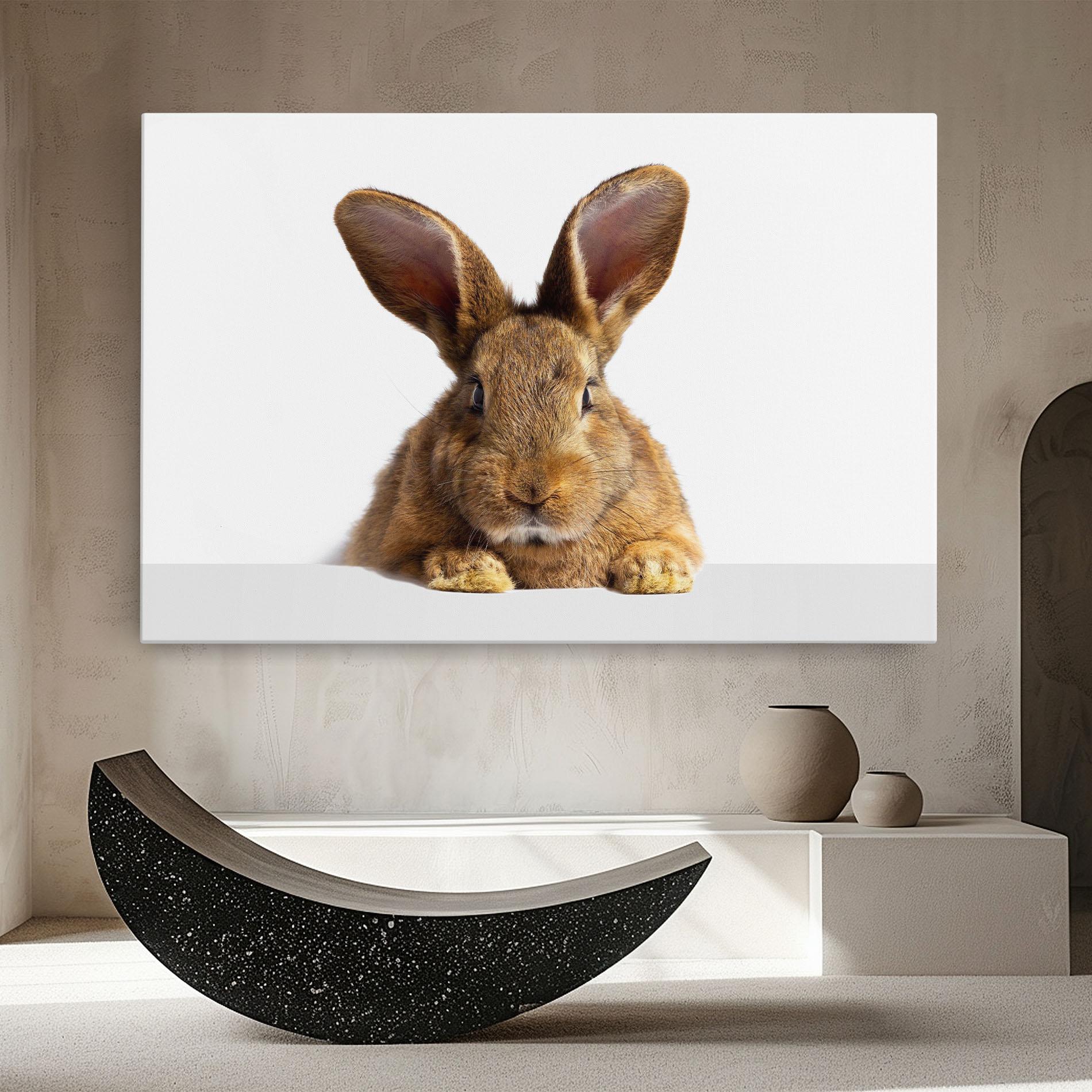 Obraz na Płótnie Brown Cute Bunny mockup 8