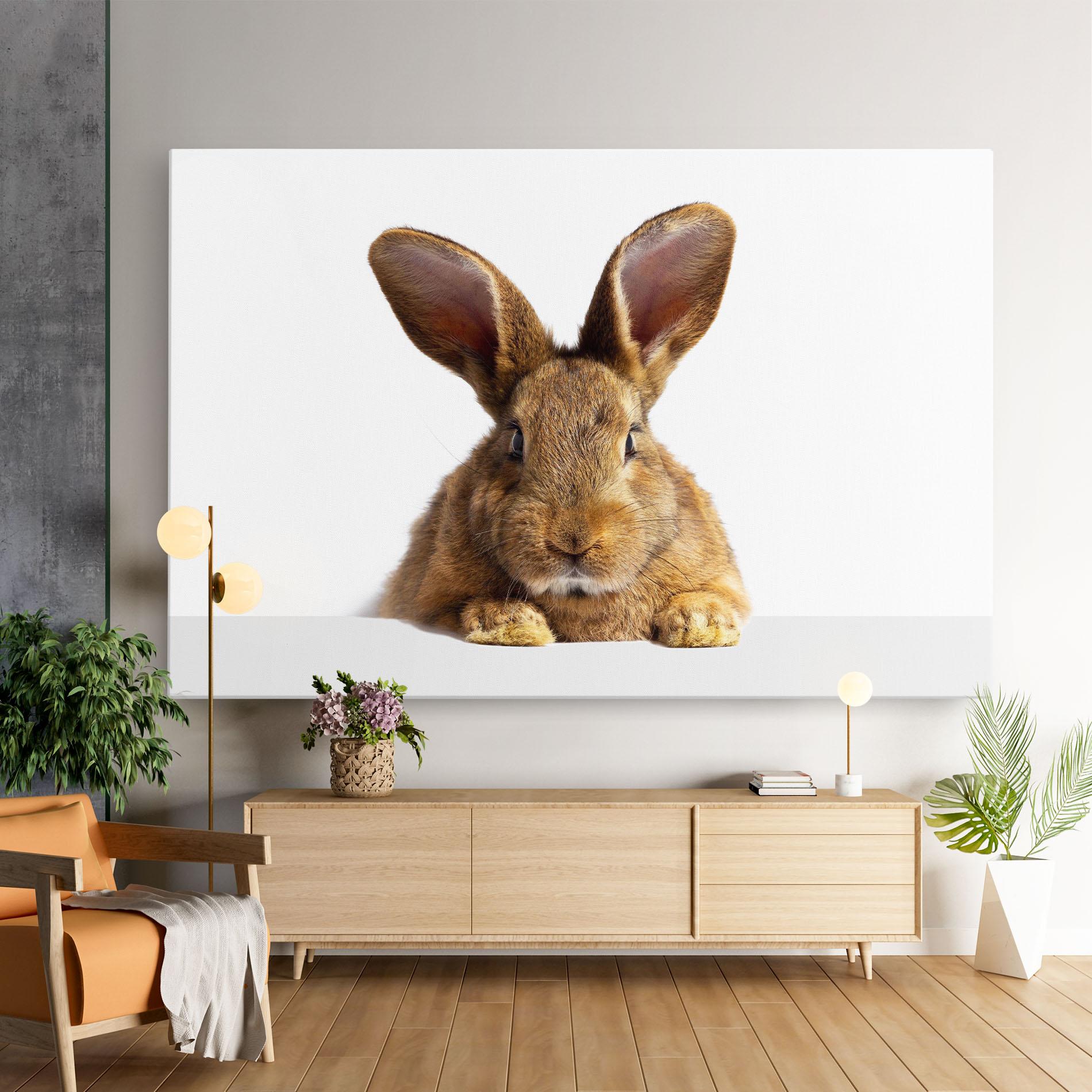 Obraz na Płótnie Brown Cute Bunny mockup 9