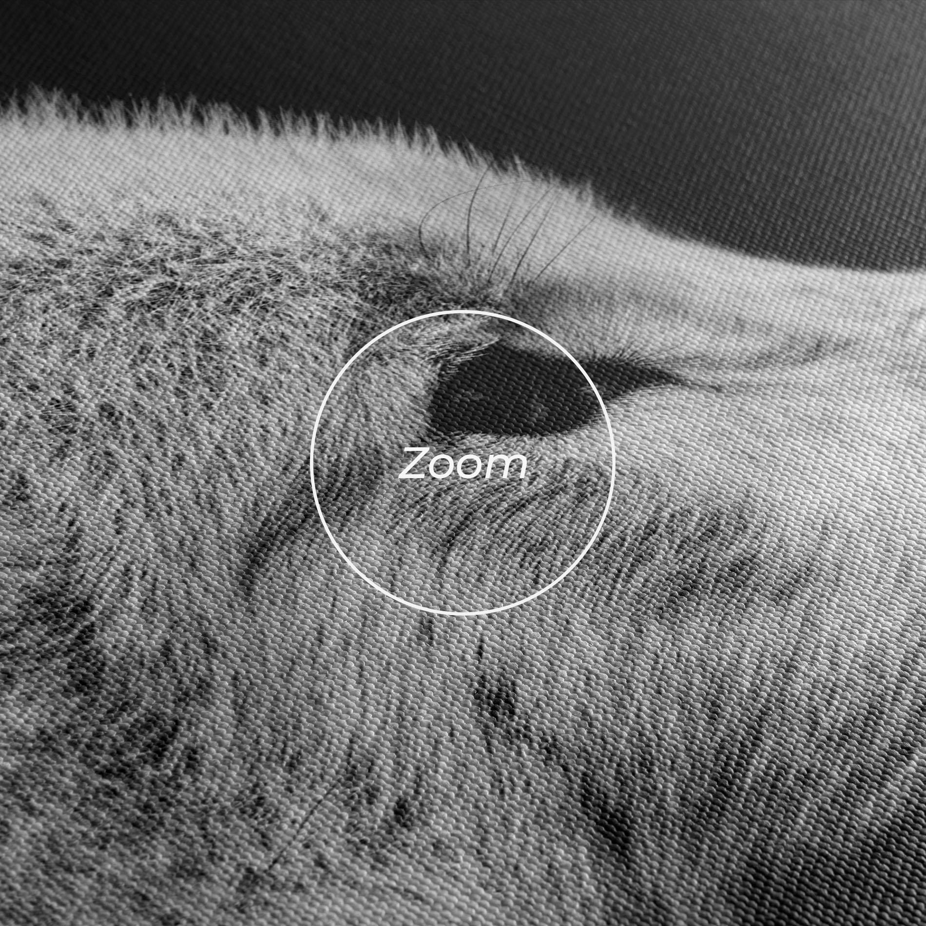 Obraz na Płótnie Grey Wolf mockup 3