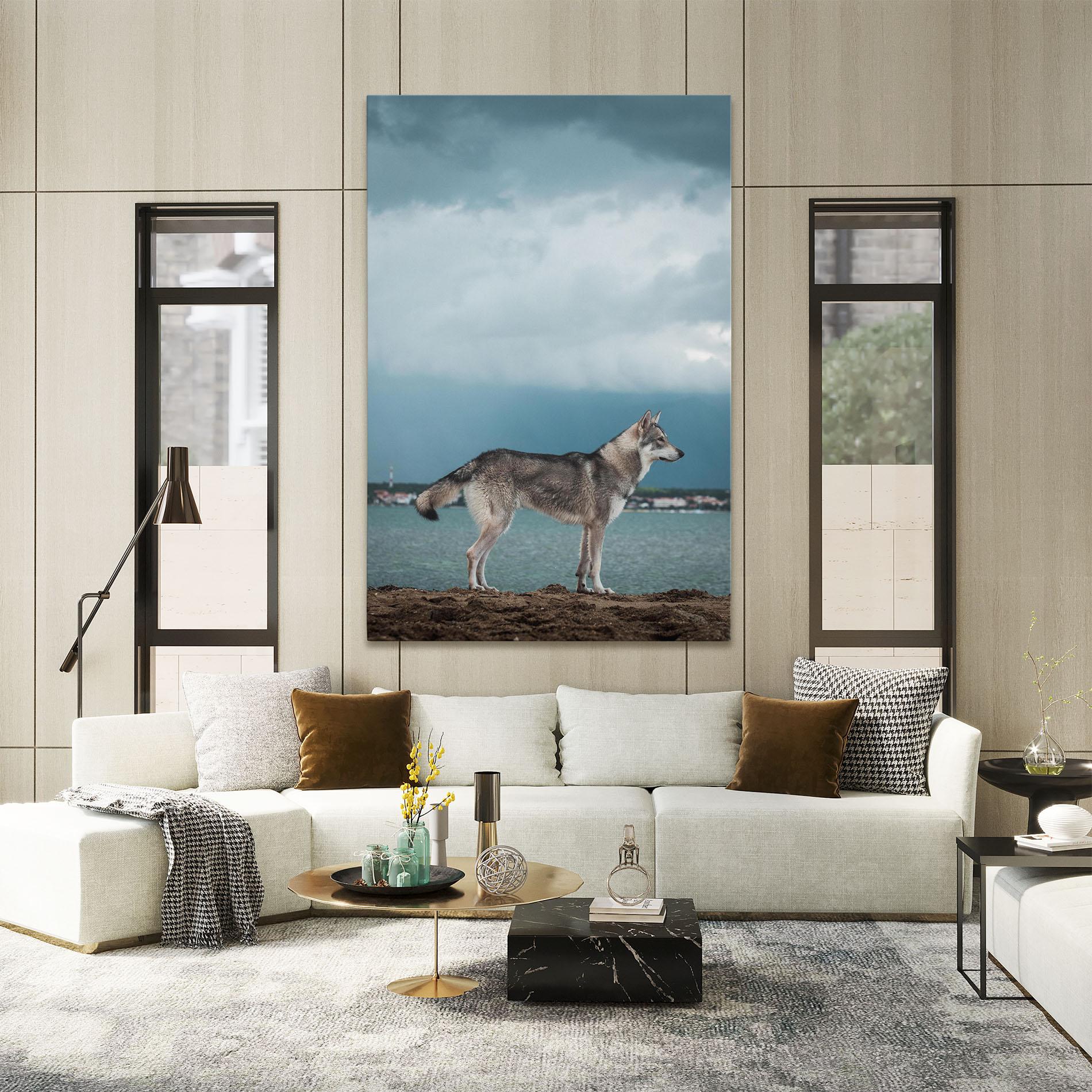 Obraz na Płótnie Grey Wolf Looking mockup 2