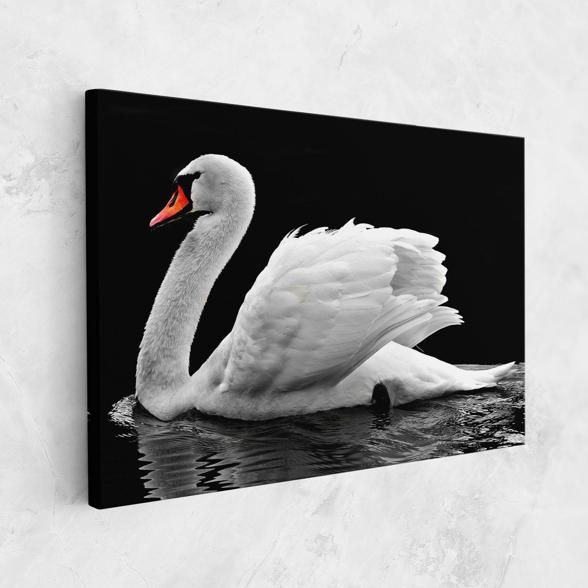 Obraz na Płótnie Black And White Swan mockup 1