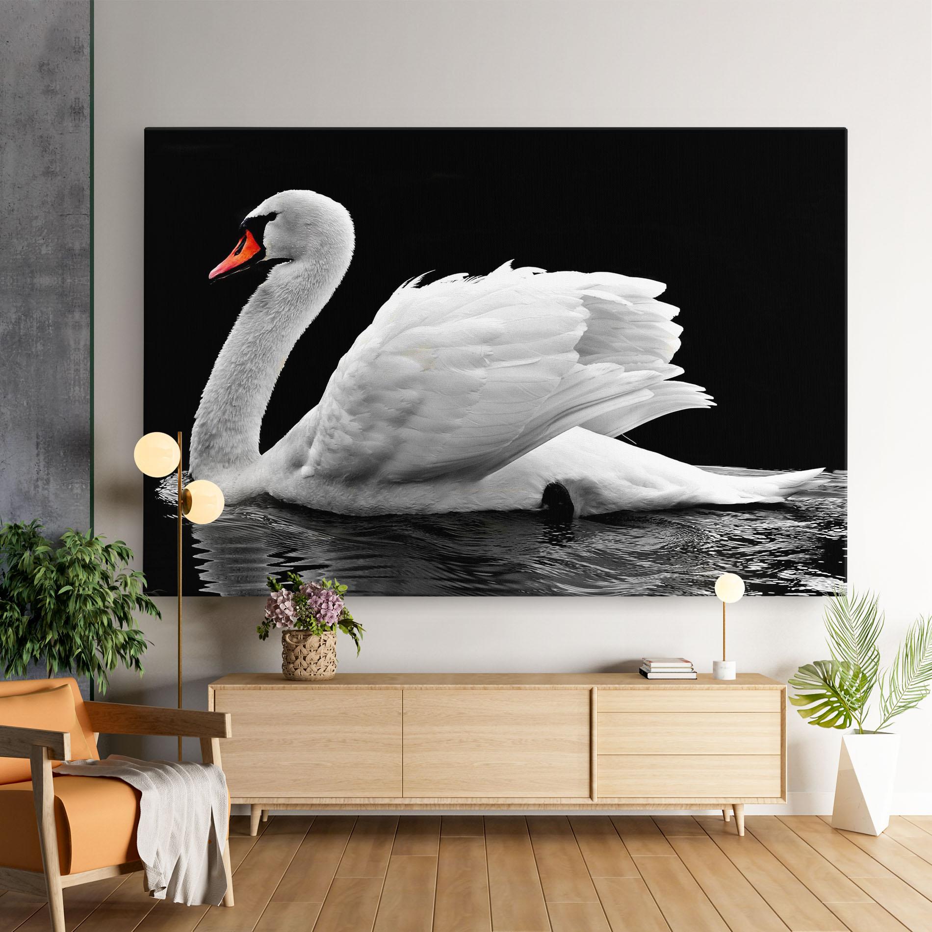 Obraz na Płótnie Black And White Swan mockup 9