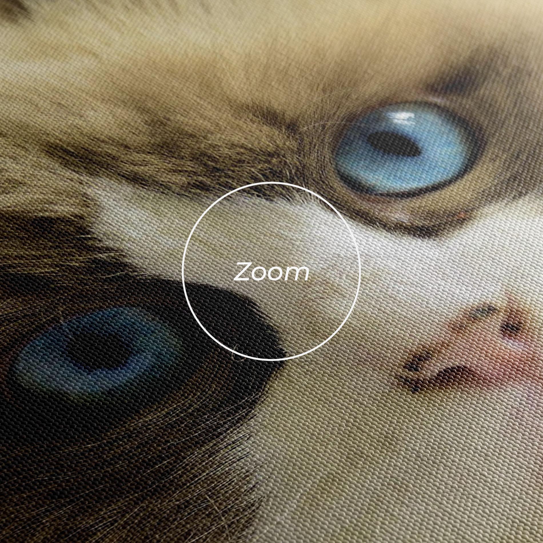 Obraz na Płótnie Interesting Blue Eyes Cat mockup 3