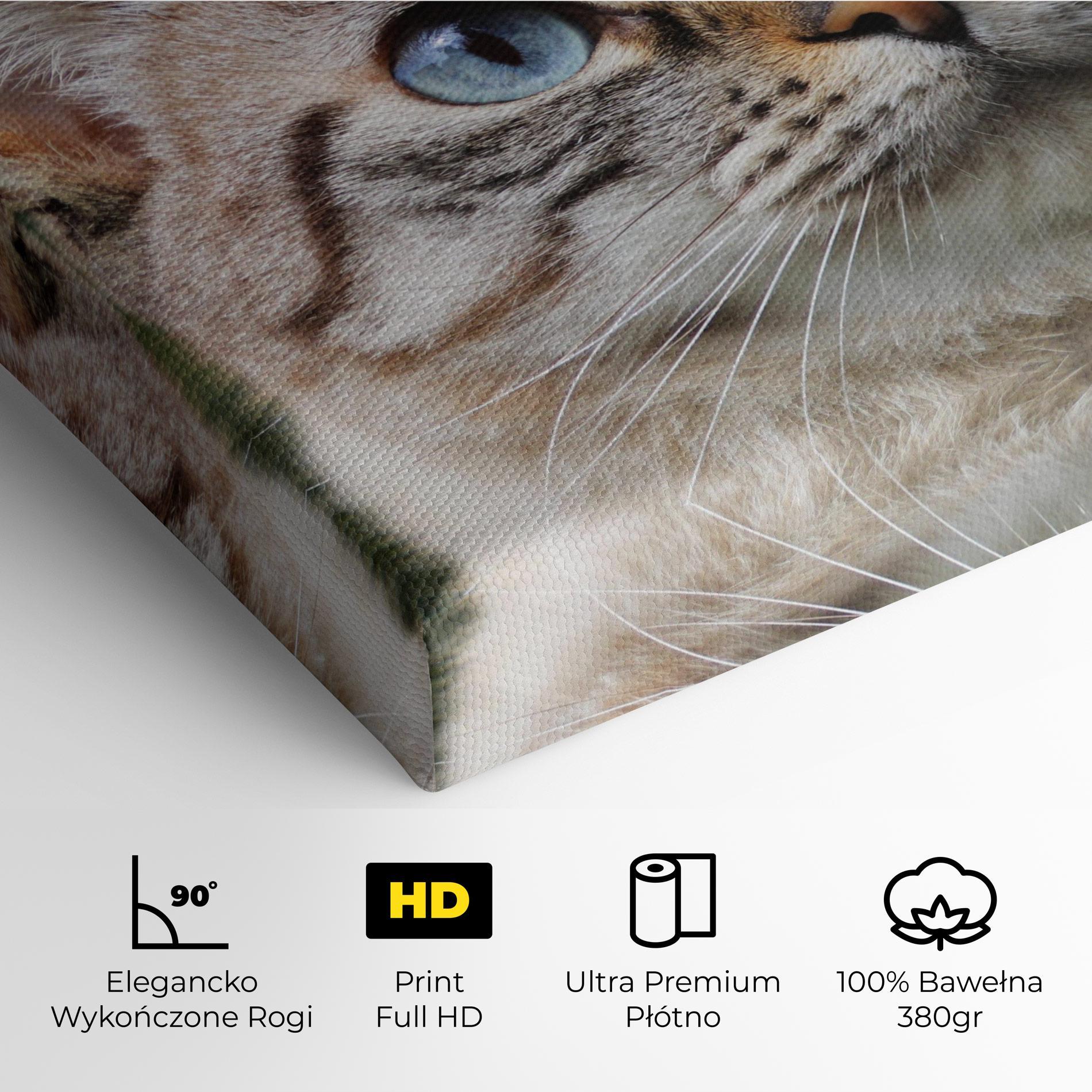 Obraz na Płótnie Blue Eyes Cutie mockup 4