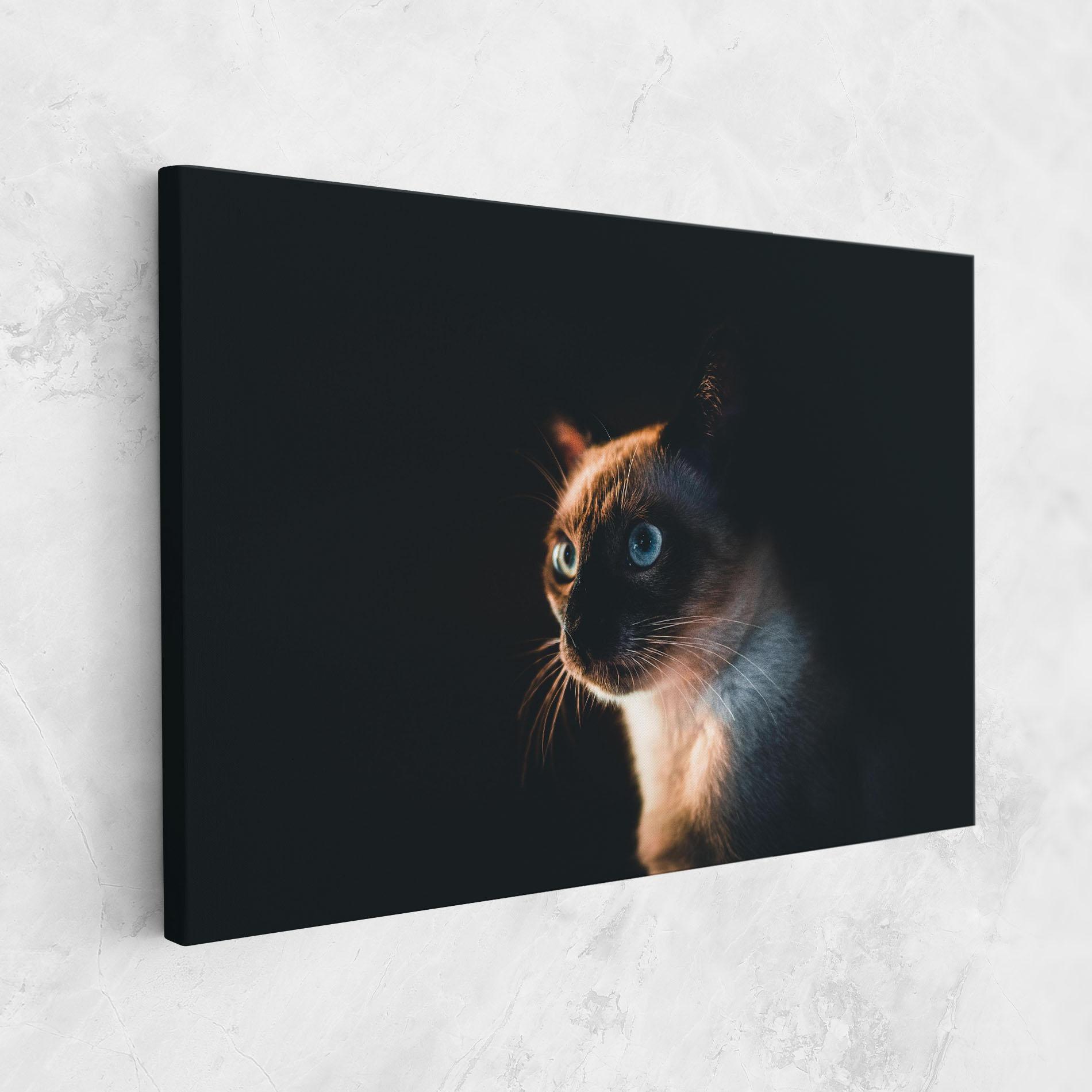 Obraz na Płótnie Blue Eyes Cat In Dark mockup 1