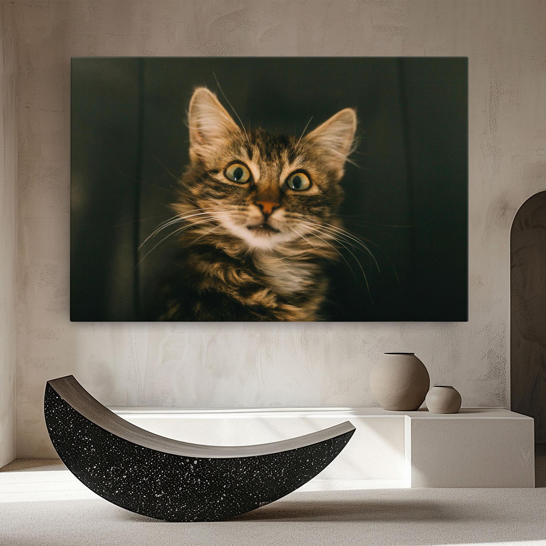 Obraz na Płótnie Amazed Cat mockup 8