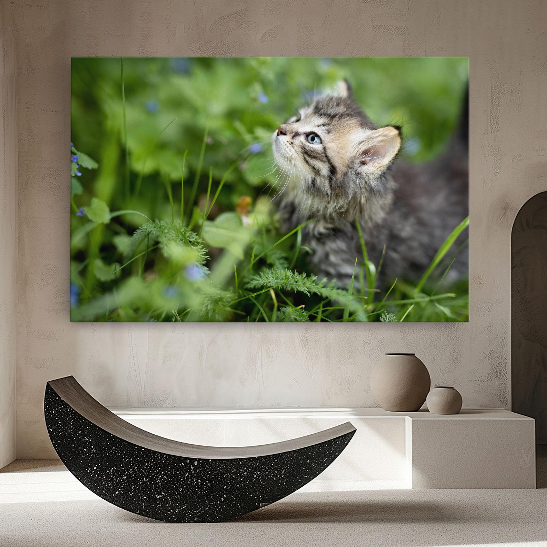 Obraz na Płótnie Brown Baby Cat mockup 8