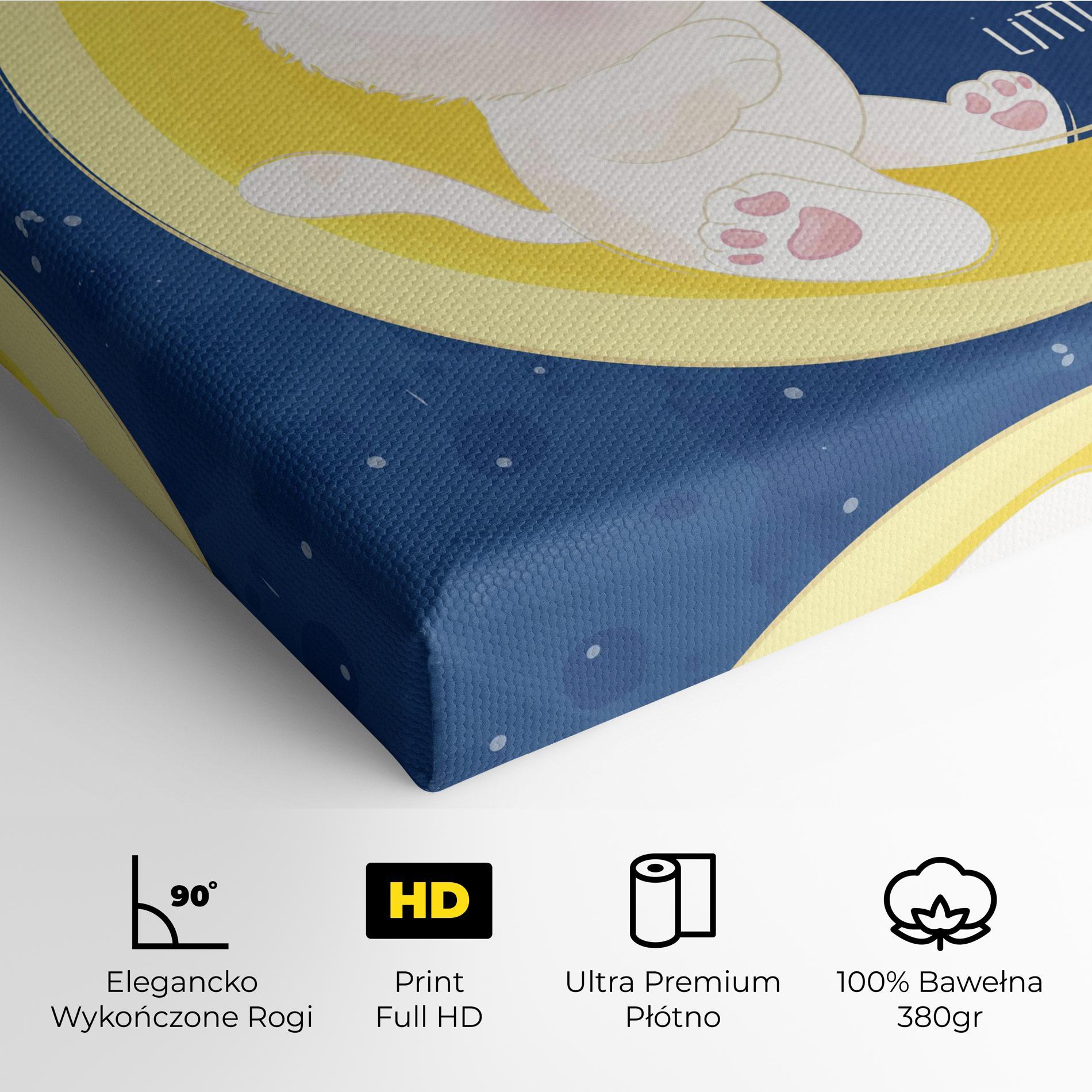 Obraz na Płótnie Cat Moon Star mockup 4