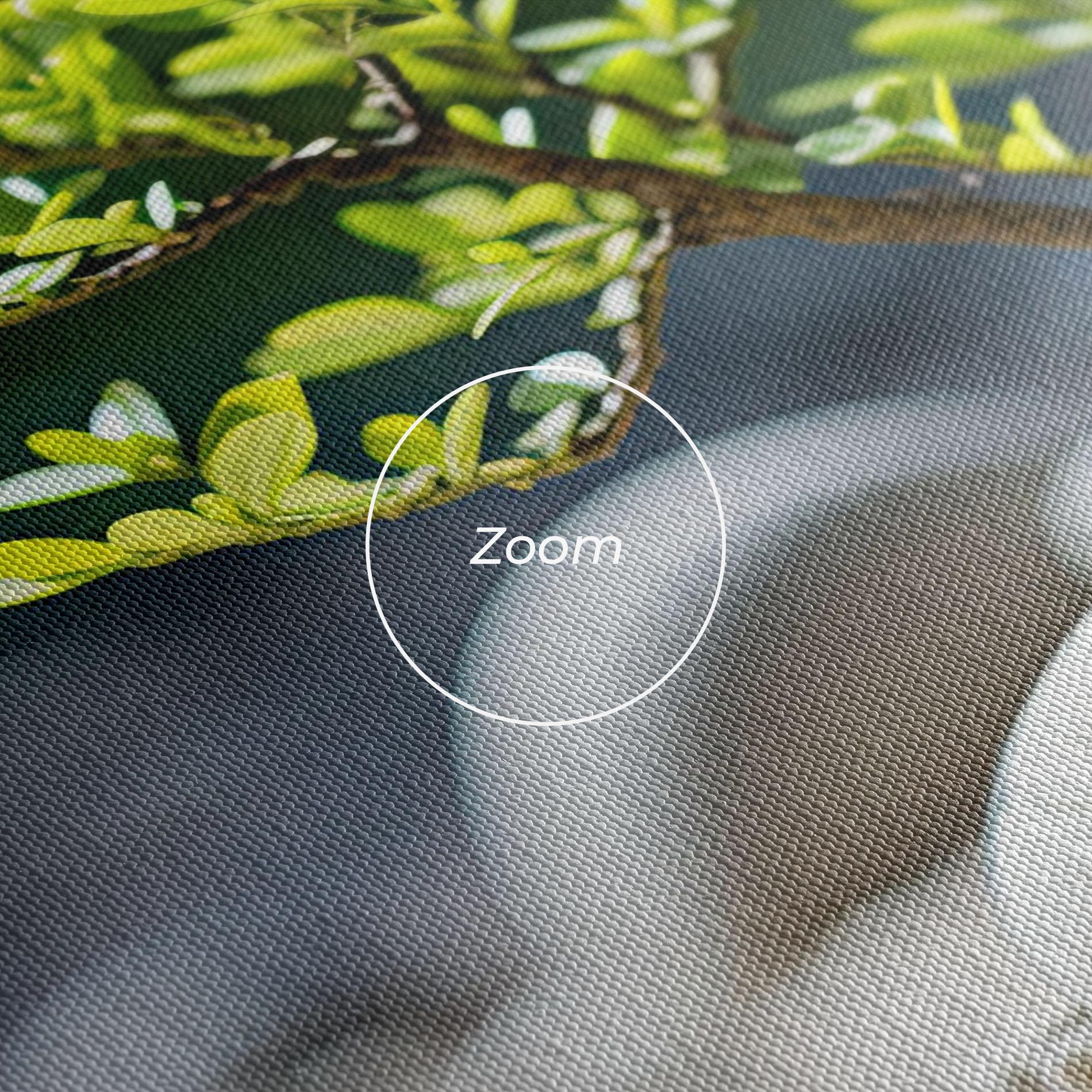 Obraz na Płótnie White Pebbles Plants mockup 3