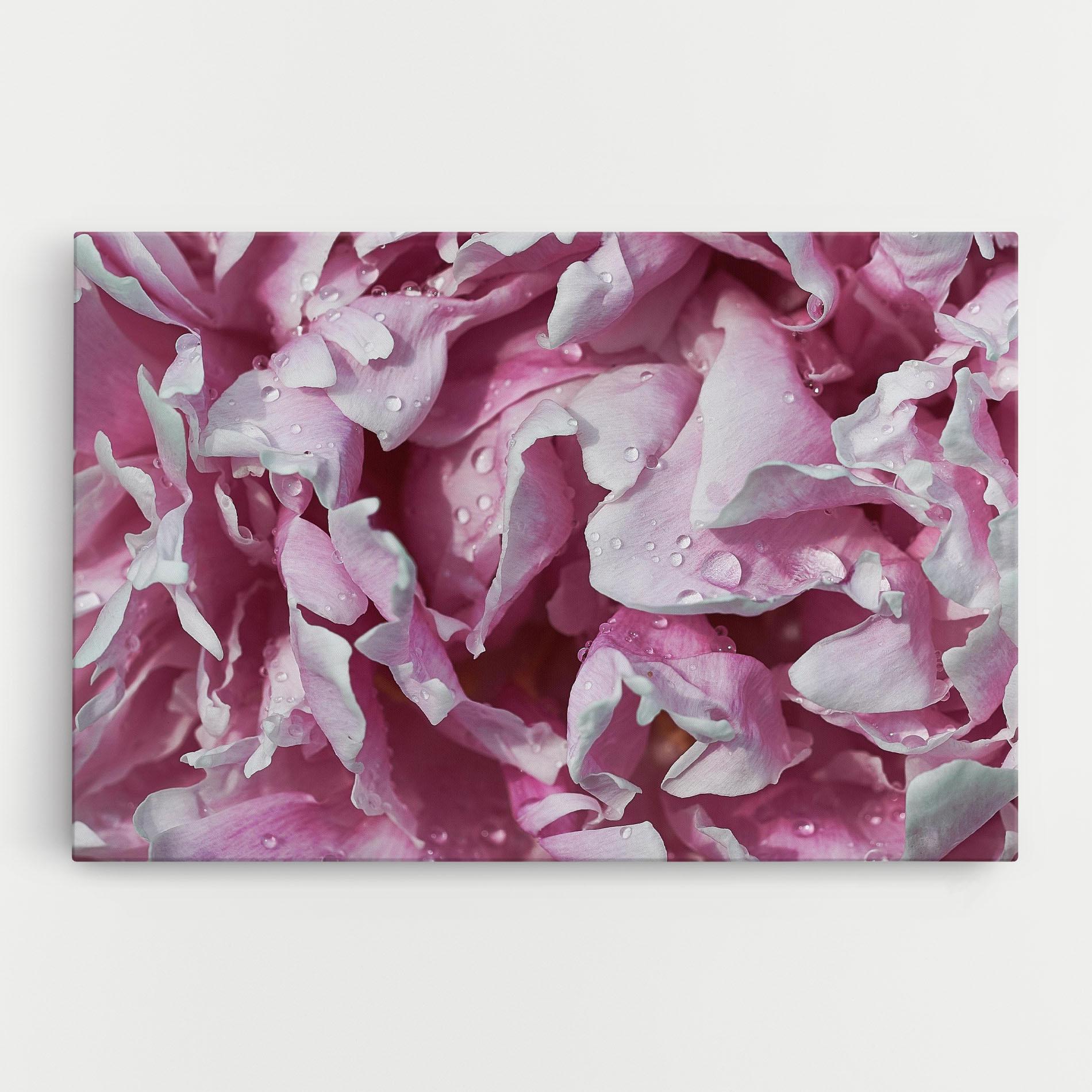 Obraz na Płótnie Peony Petals mockup 0