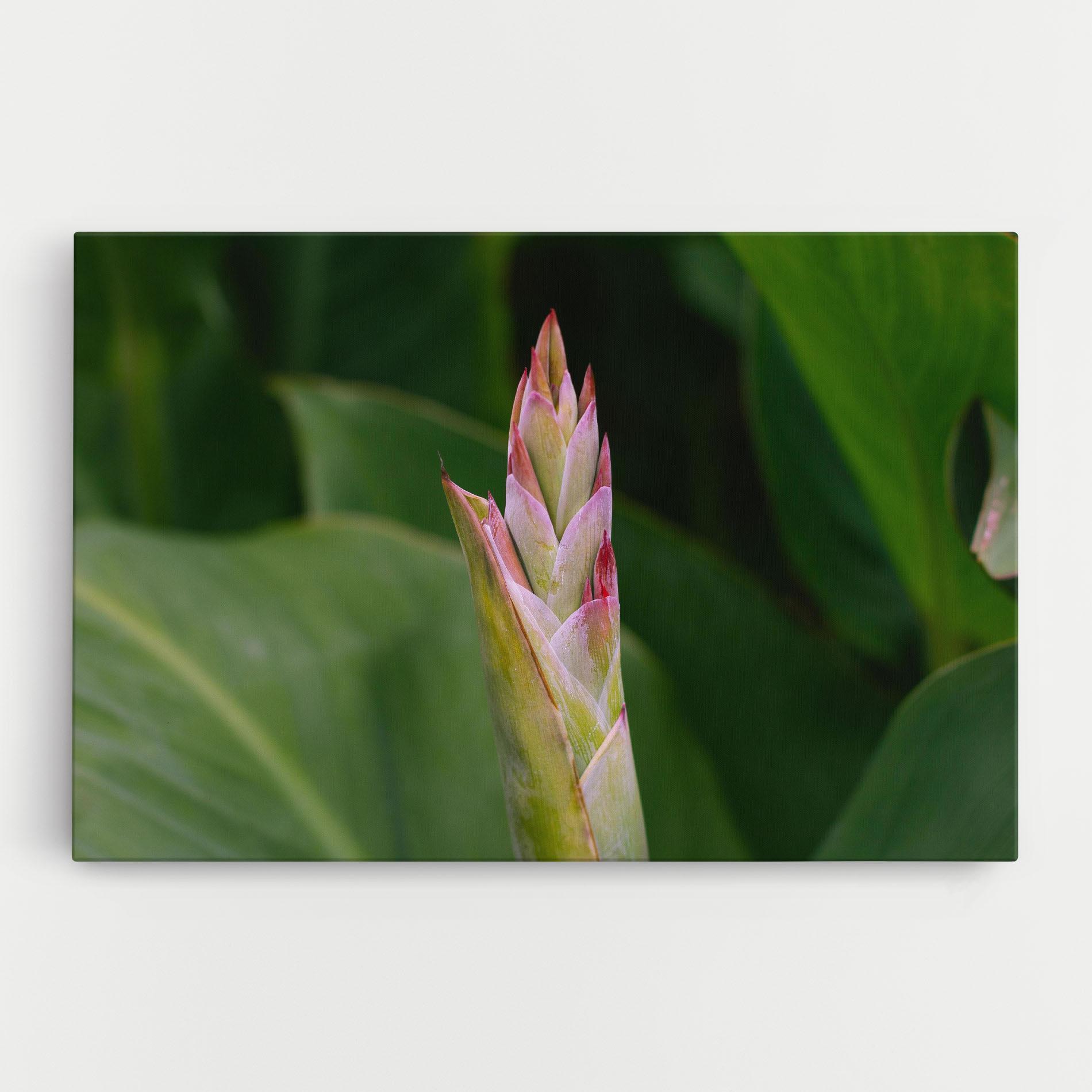 Obraz na Płótnie Light Pink Exotic mockup 0