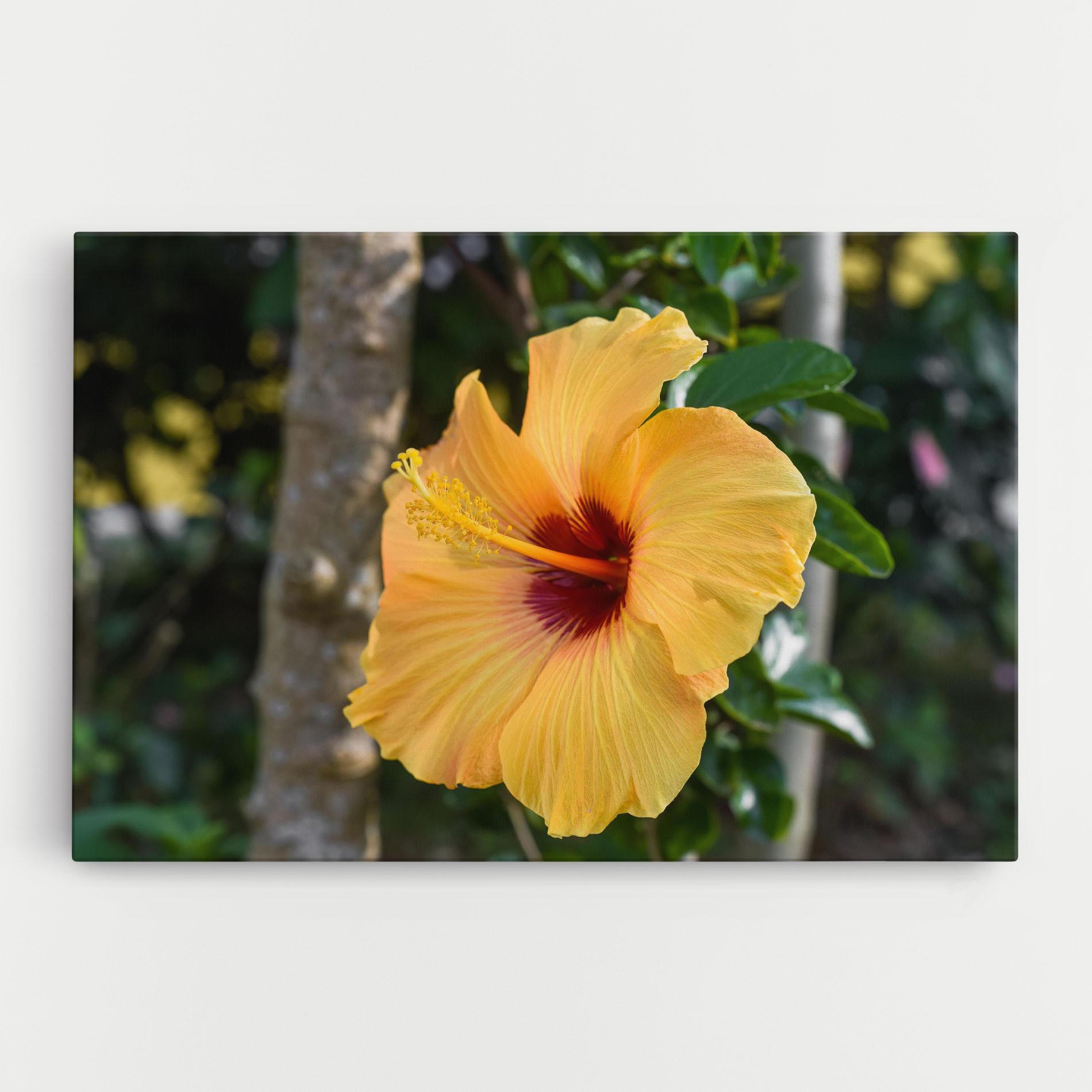 Obraz na Płótnie Yellow Hibiscus mockup 0