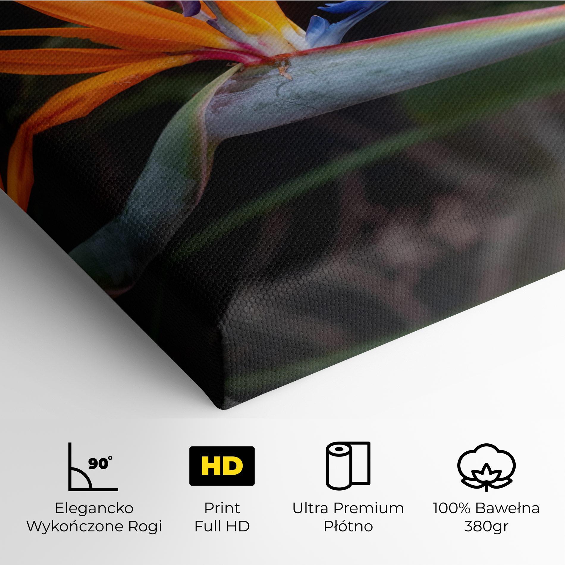 Obraz na Płótnie Paradise Plant mockup 4