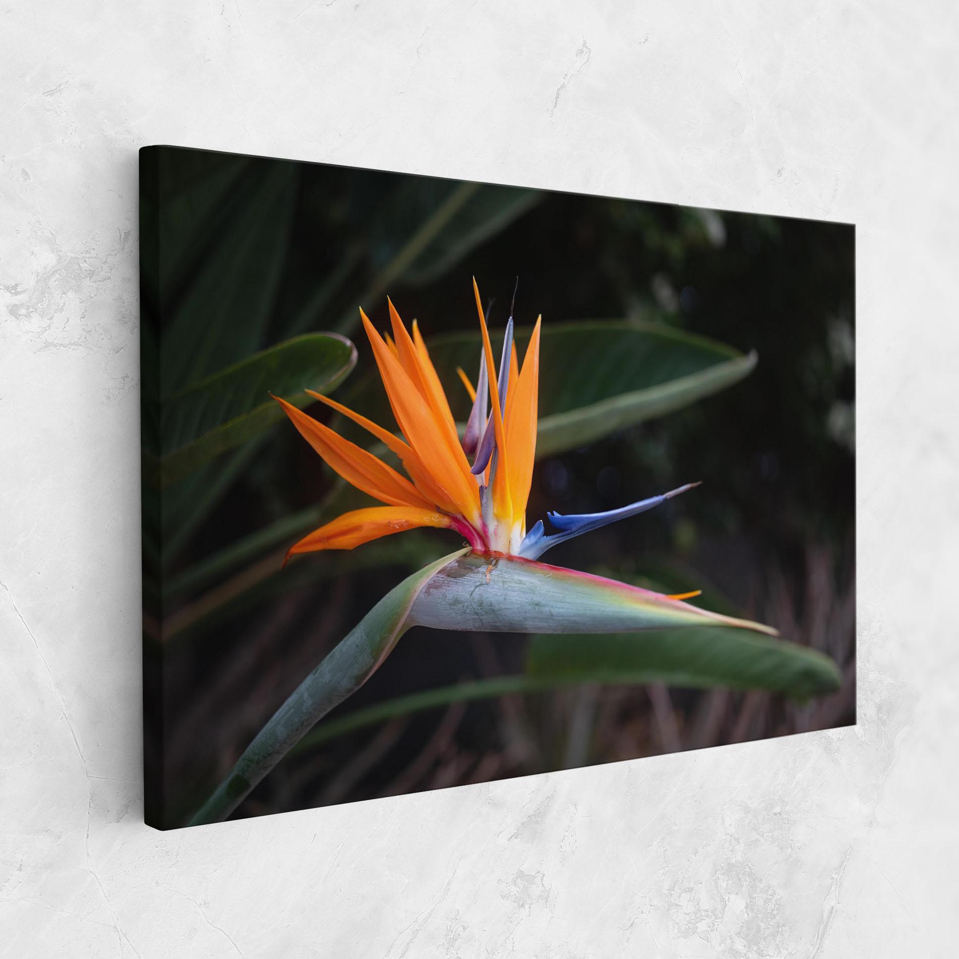 Obraz na Płótnie Paradise Plant mockup 1