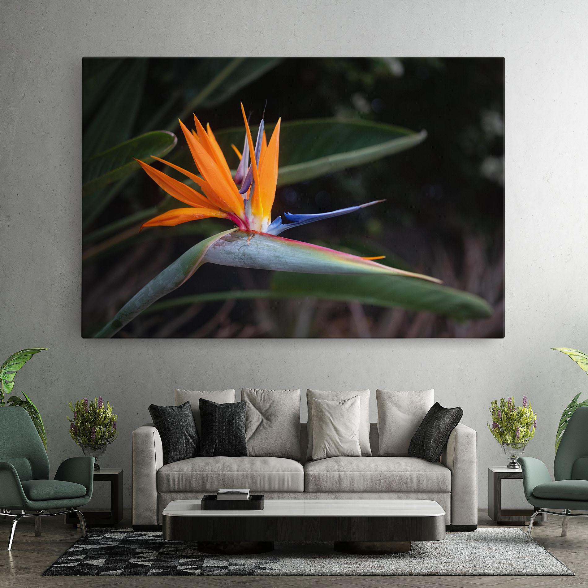 Obraz na Płótnie Paradise Plant mockup 7