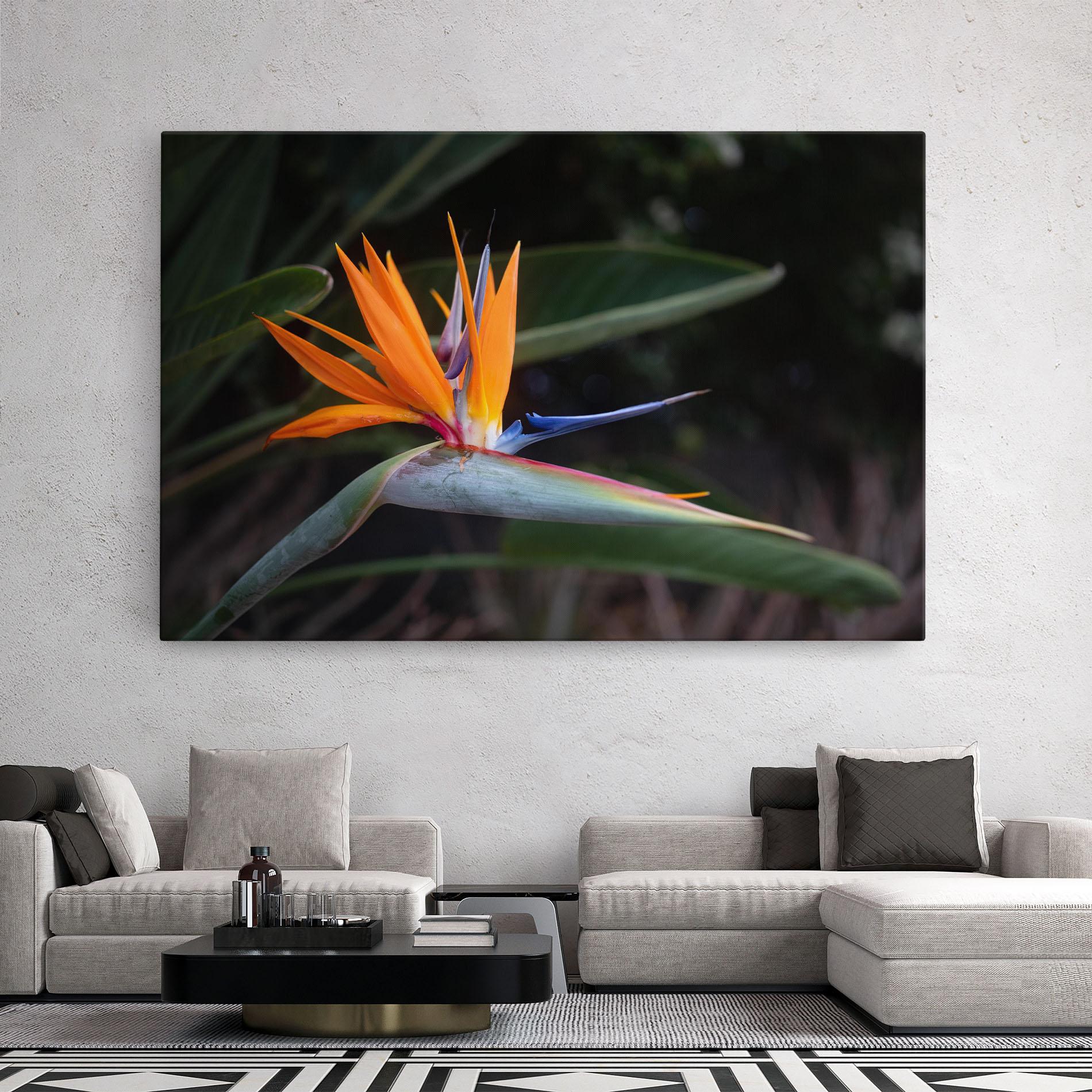 Obraz na Płótnie Paradise Plant mockup 2