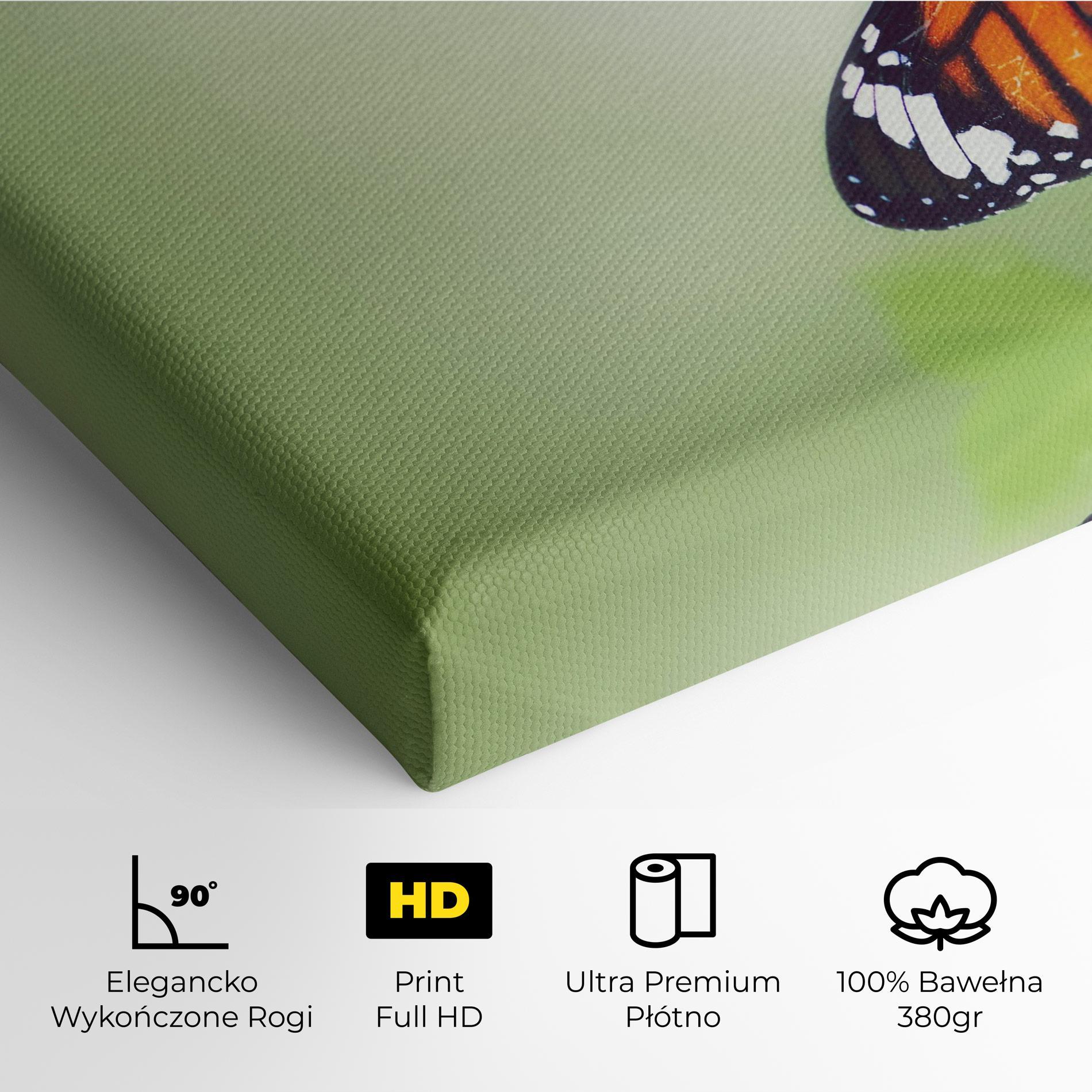 Obraz na Płótnie Butterfly Wild Plant mockup 4