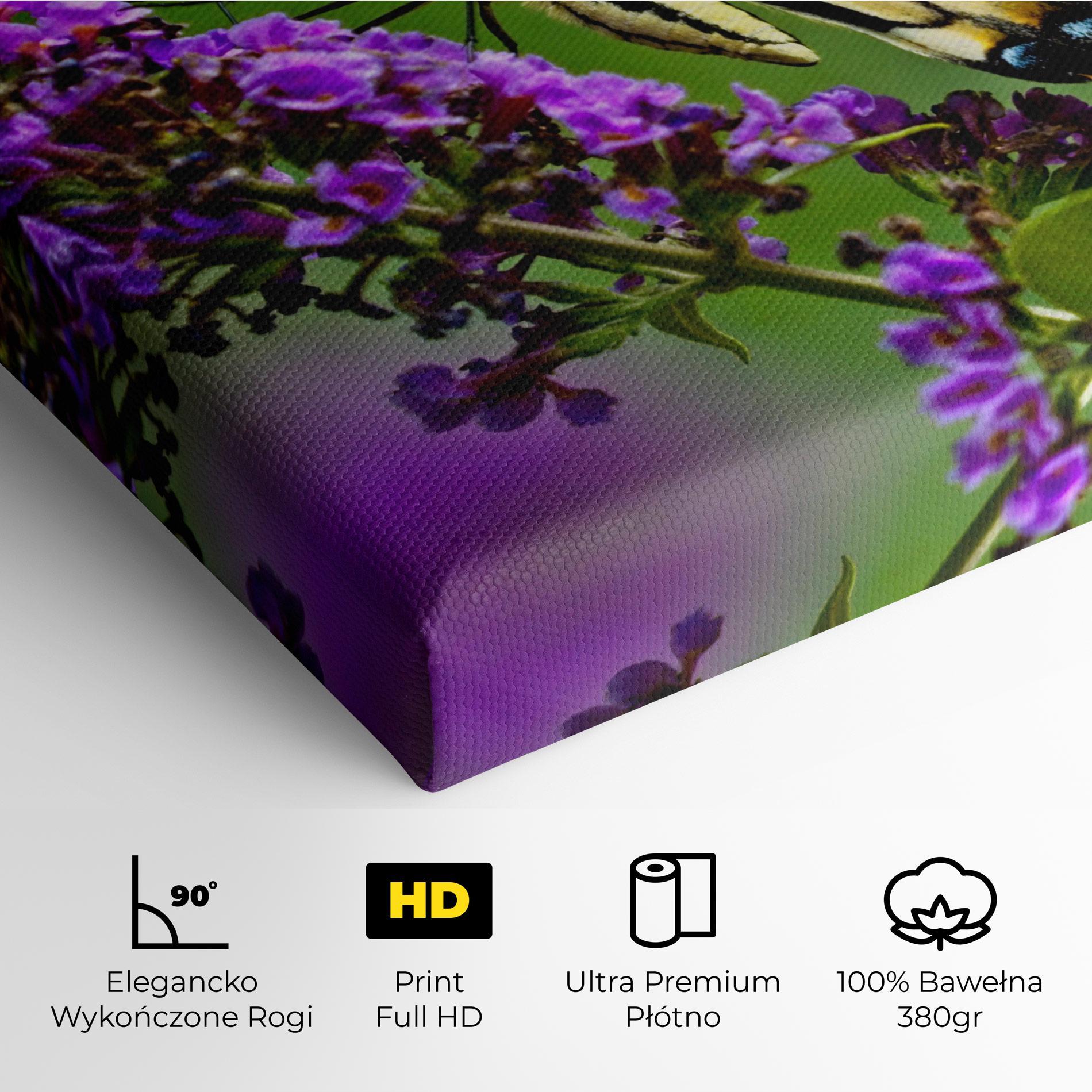 Obraz na Płótnie Cream Wild Butterfly mockup 4