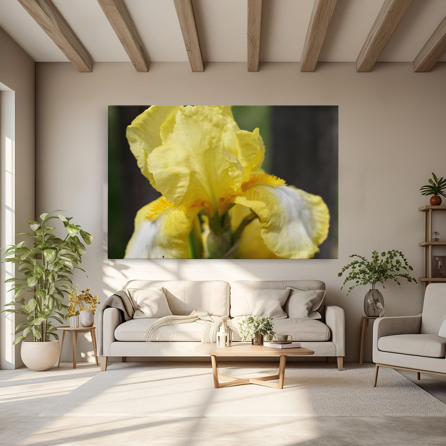 Obraz na Płótnie Garden Yellow Iris mockup 6