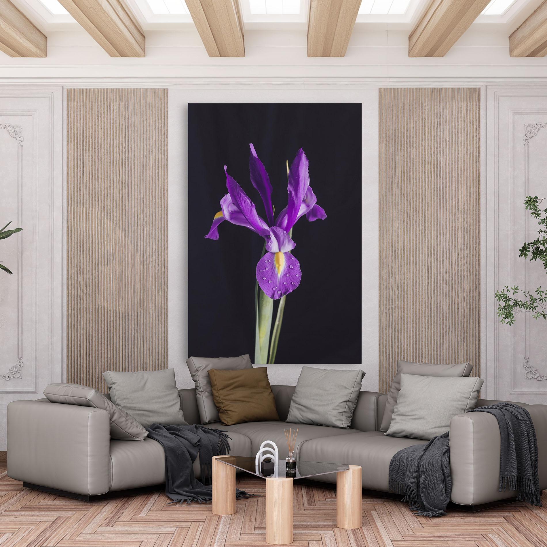 Obraz na Płótnie Fresh Purple Iris mockup 6