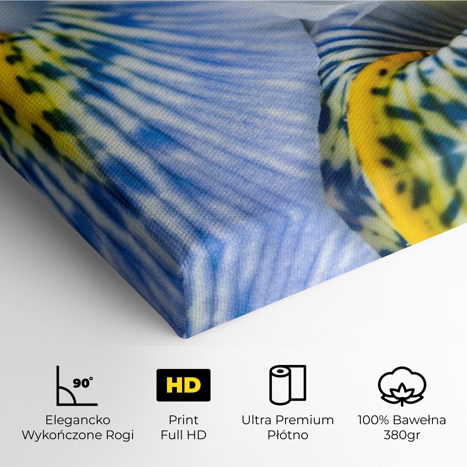 Obraz na Płótnie Blue Yellow Iris mockup 4