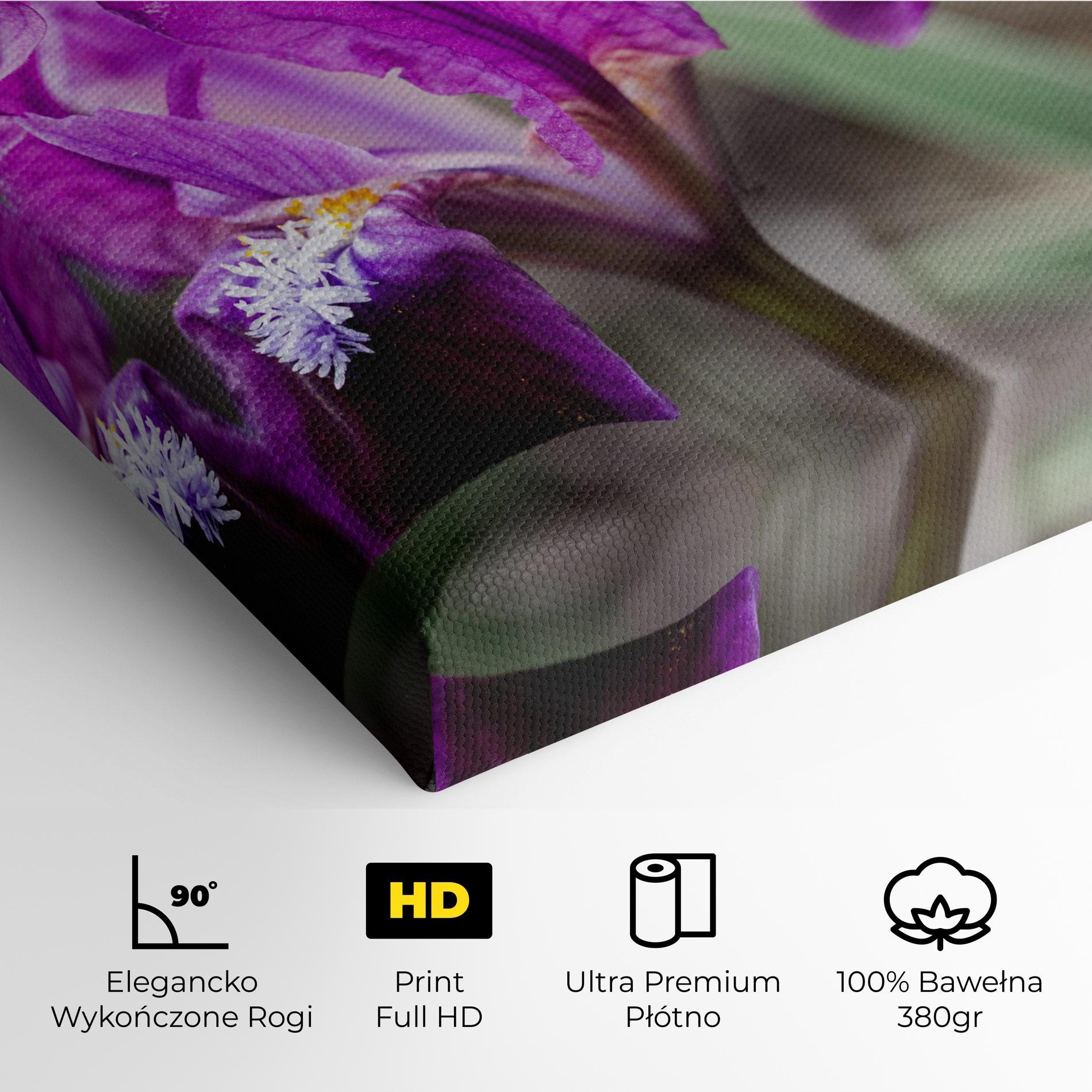 Obraz na Płótnie Dark Pink Iris mockup 4