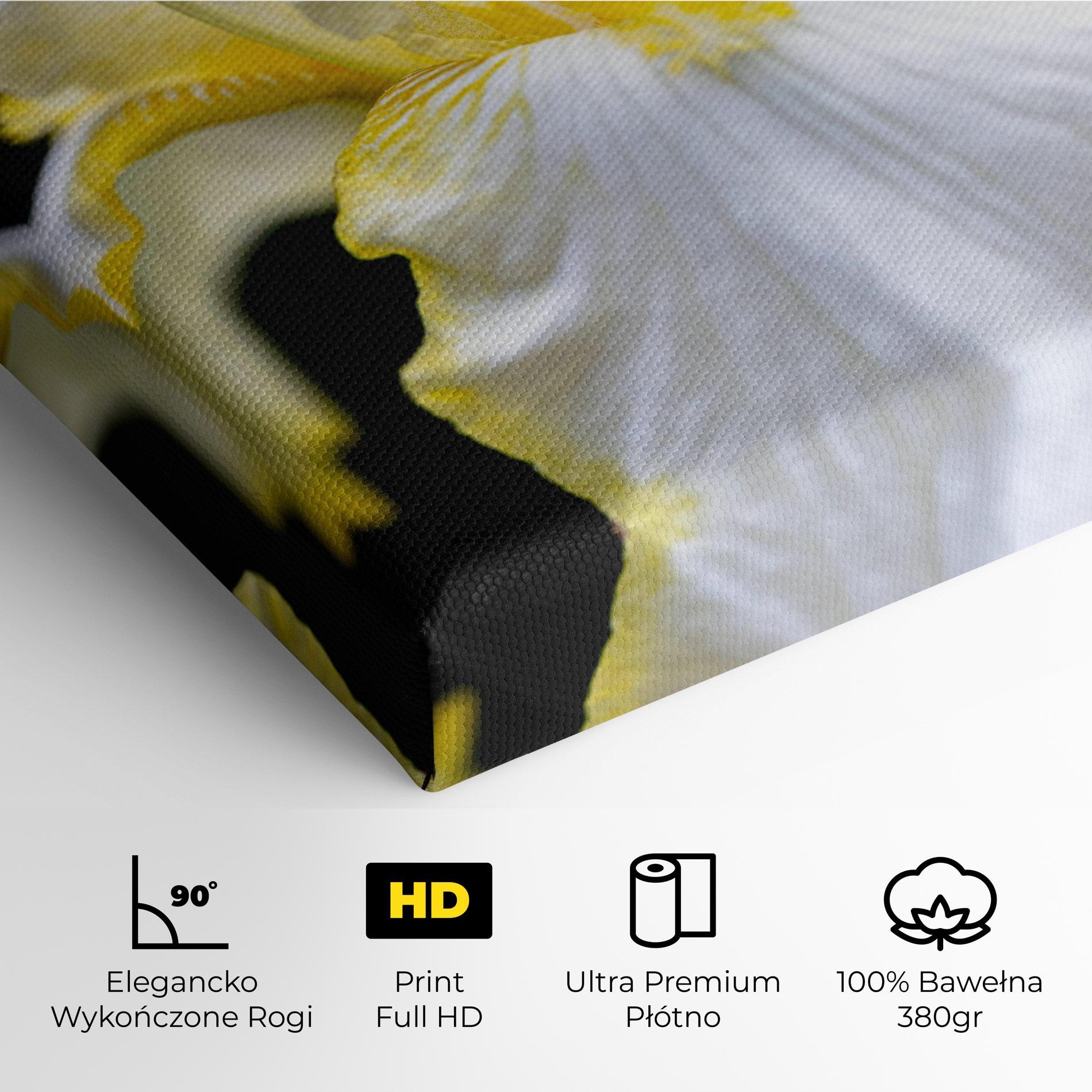 Obraz na Płótnie White Yellow Iris mockup 4