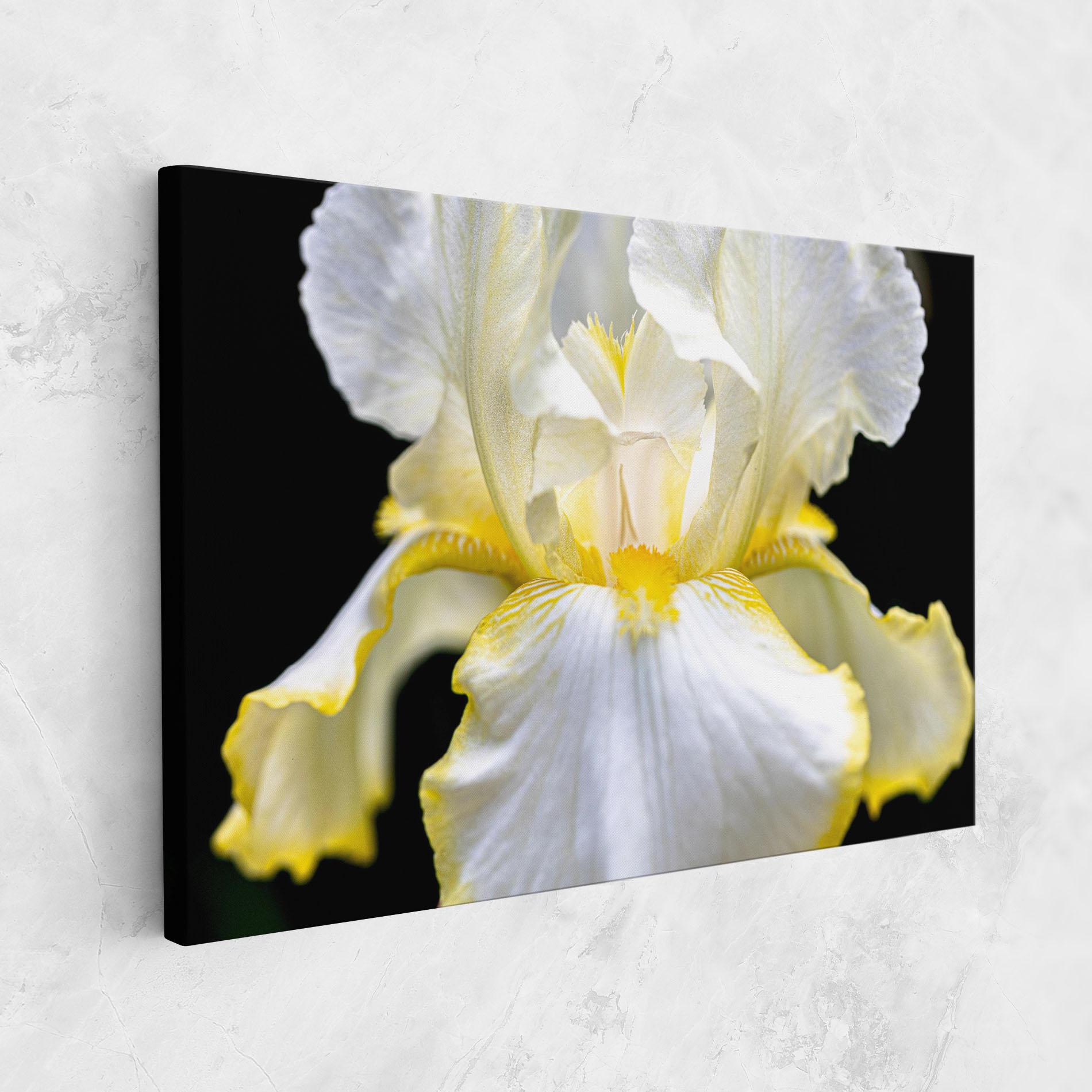 Obraz na Płótnie White Yellow Iris mockup 1
