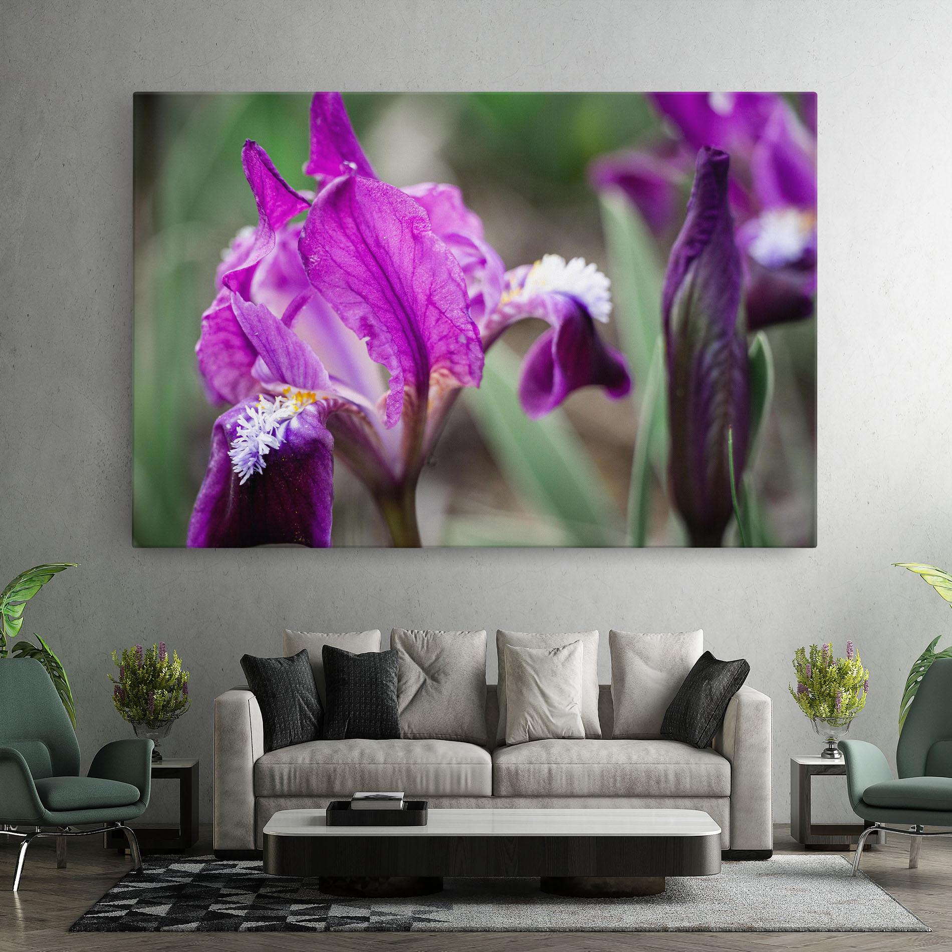 Obraz na Płótnie Dark Pink Iris mockup 7