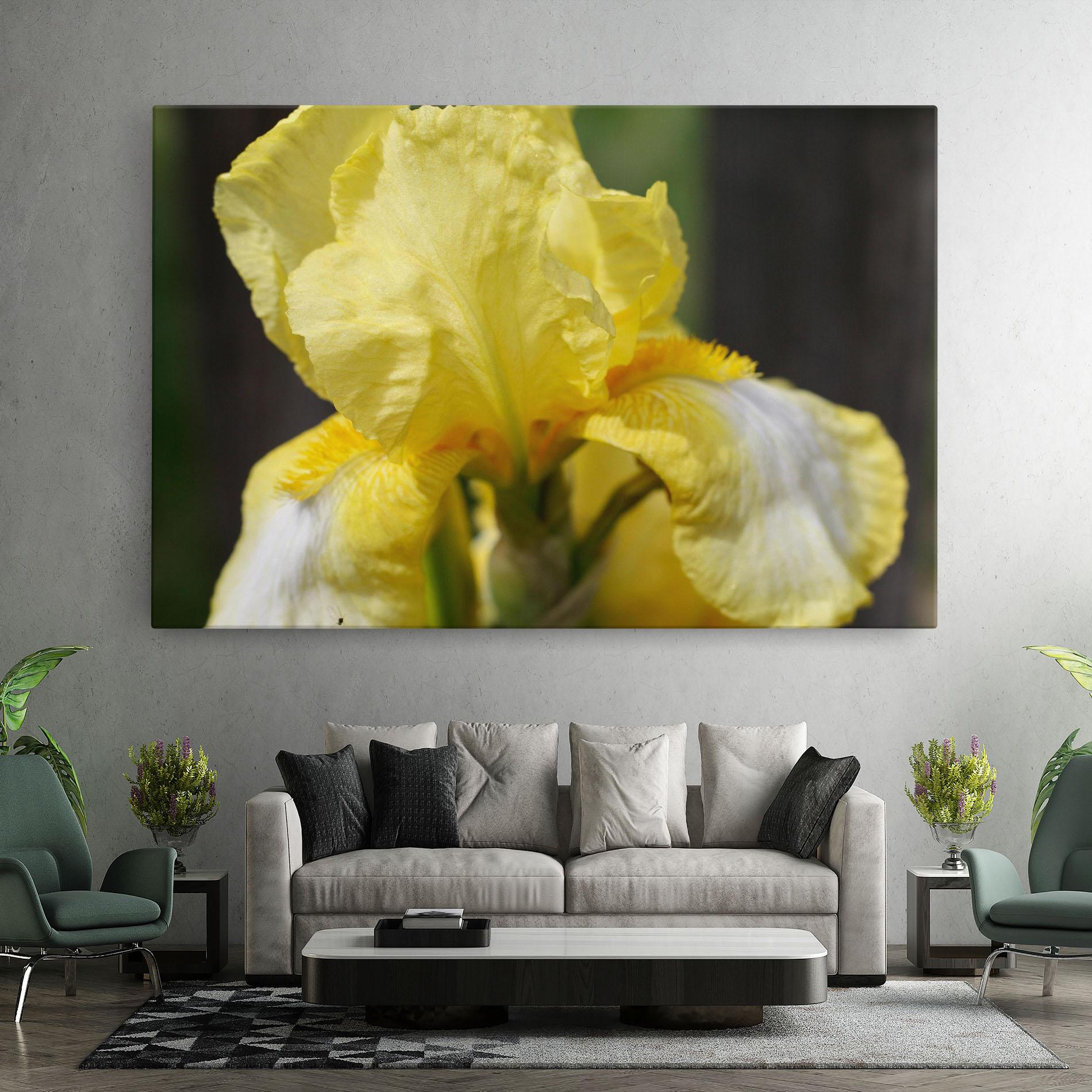 Obraz na Płótnie Garden Yellow Iris mockup 7