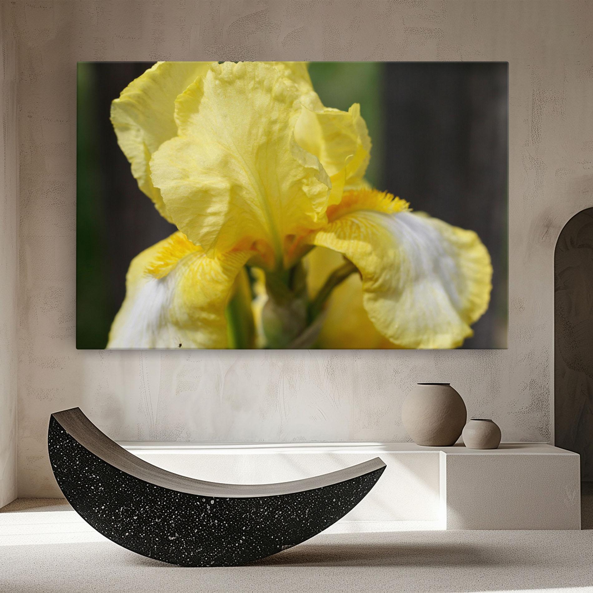Obraz na Płótnie Garden Yellow Iris mockup 8