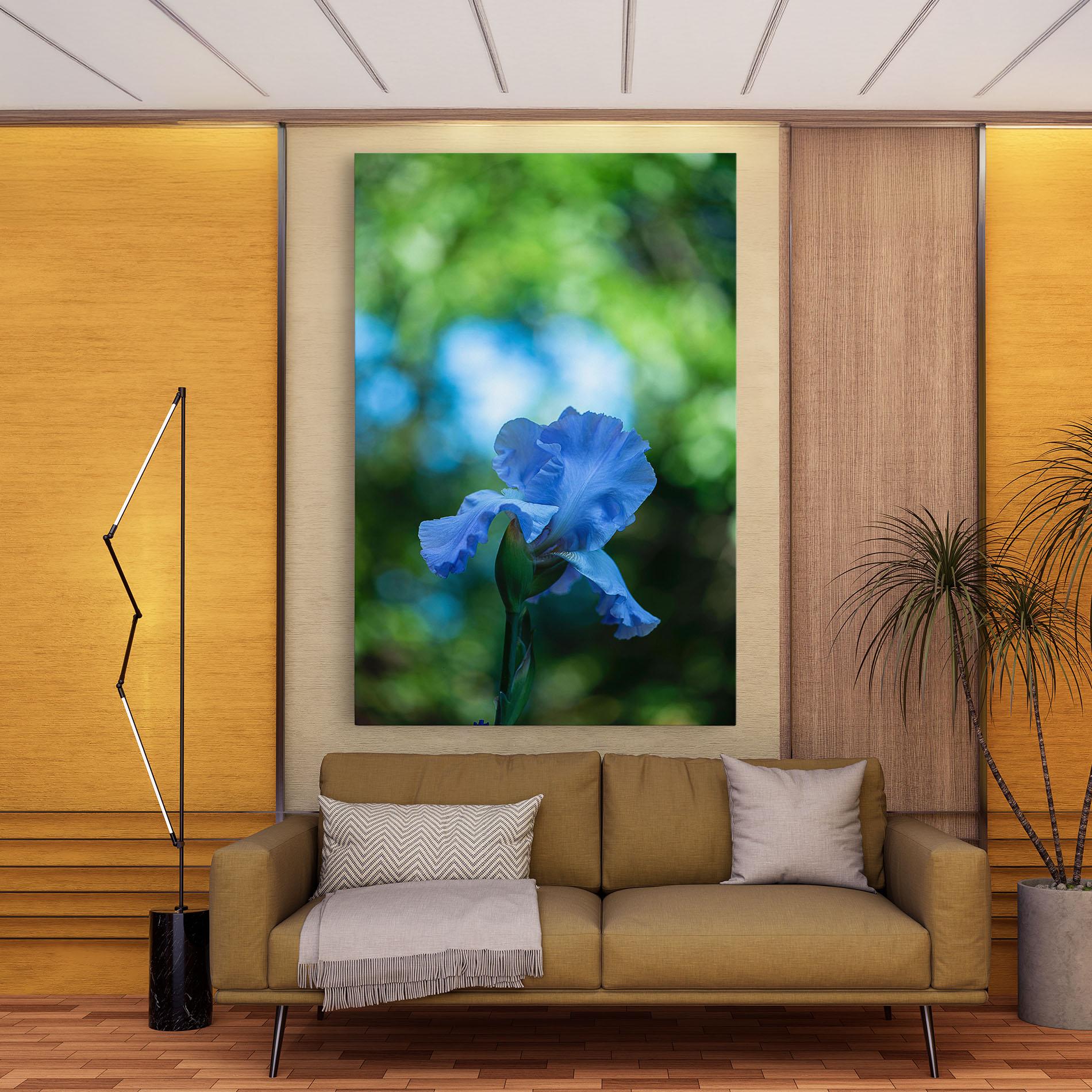 Obraz na Płótnie Blue Iris In The Garden mockup 9