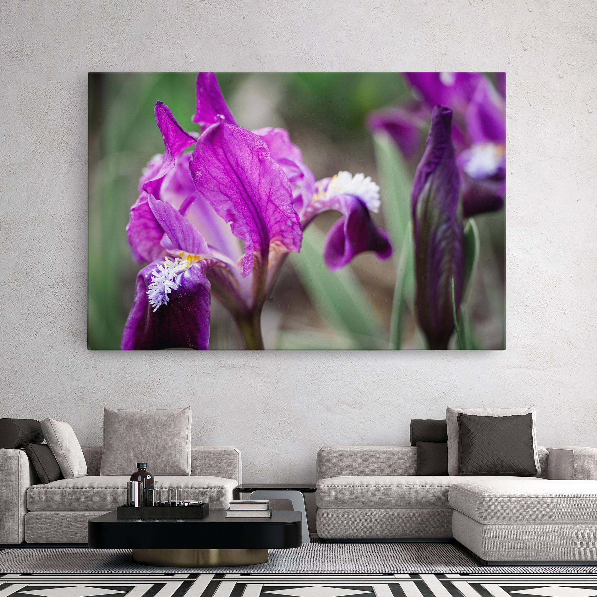 Obraz na Płótnie Dark Pink Iris mockup 2