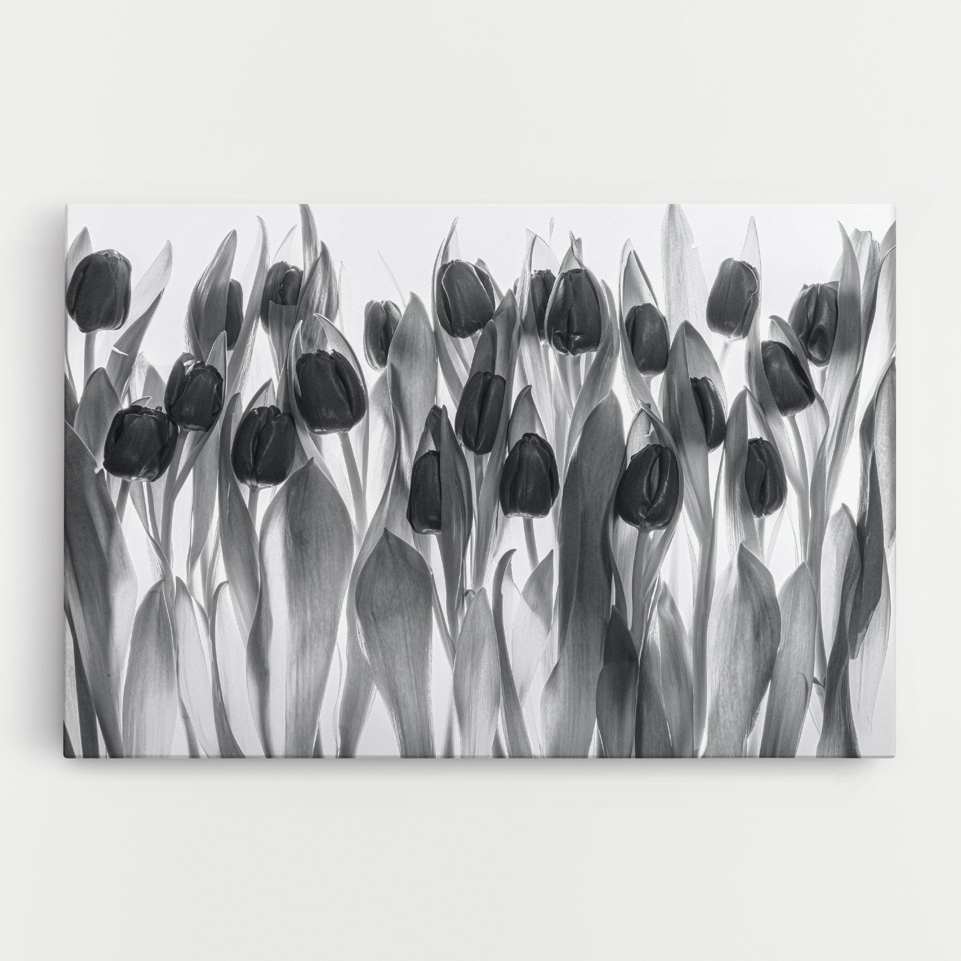 Obraz na Płótnie Grey Tulips mockup 0